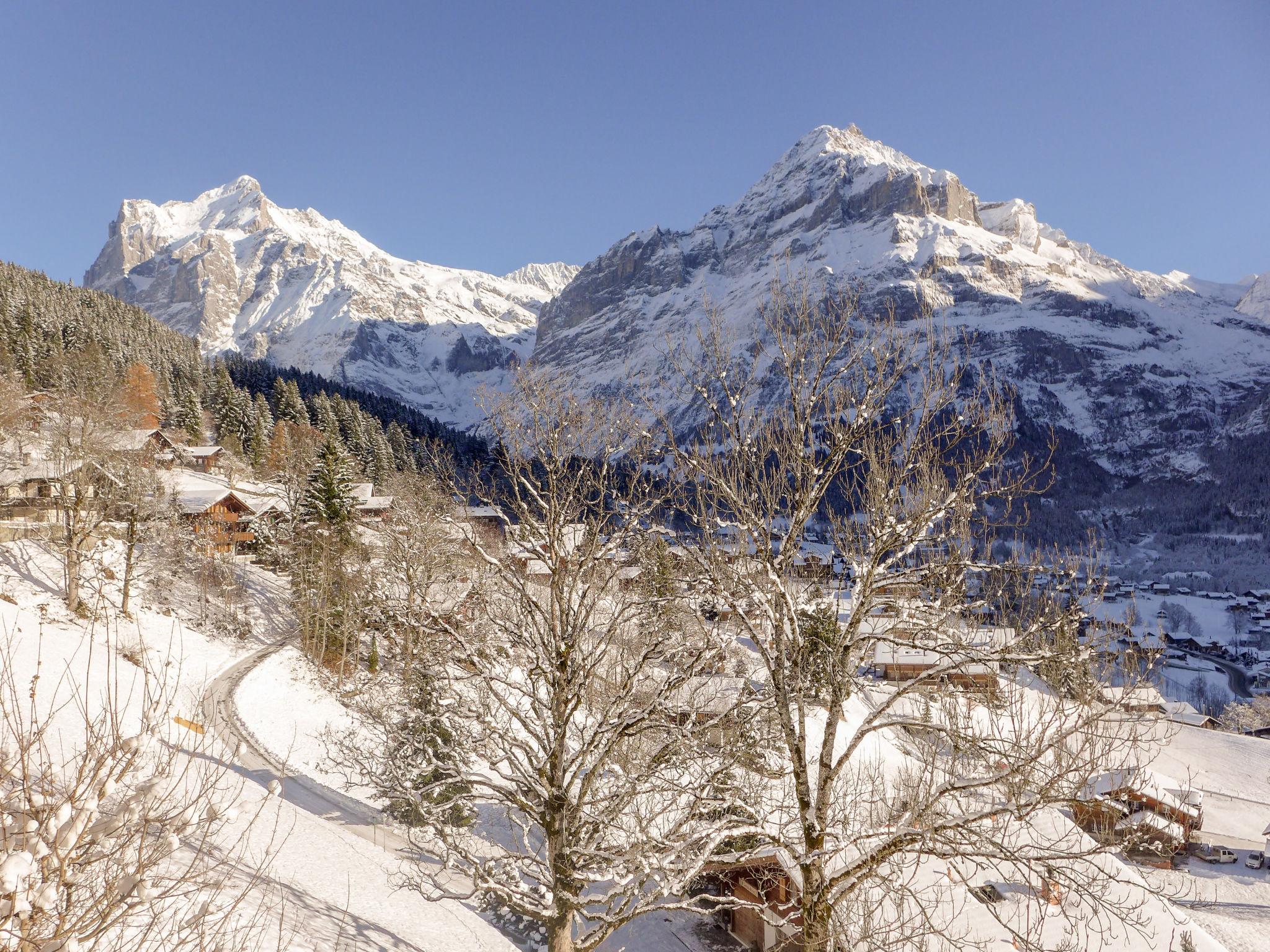 Foto 20 - Apartamento de 3 quartos em Grindelwald com jardim e terraço