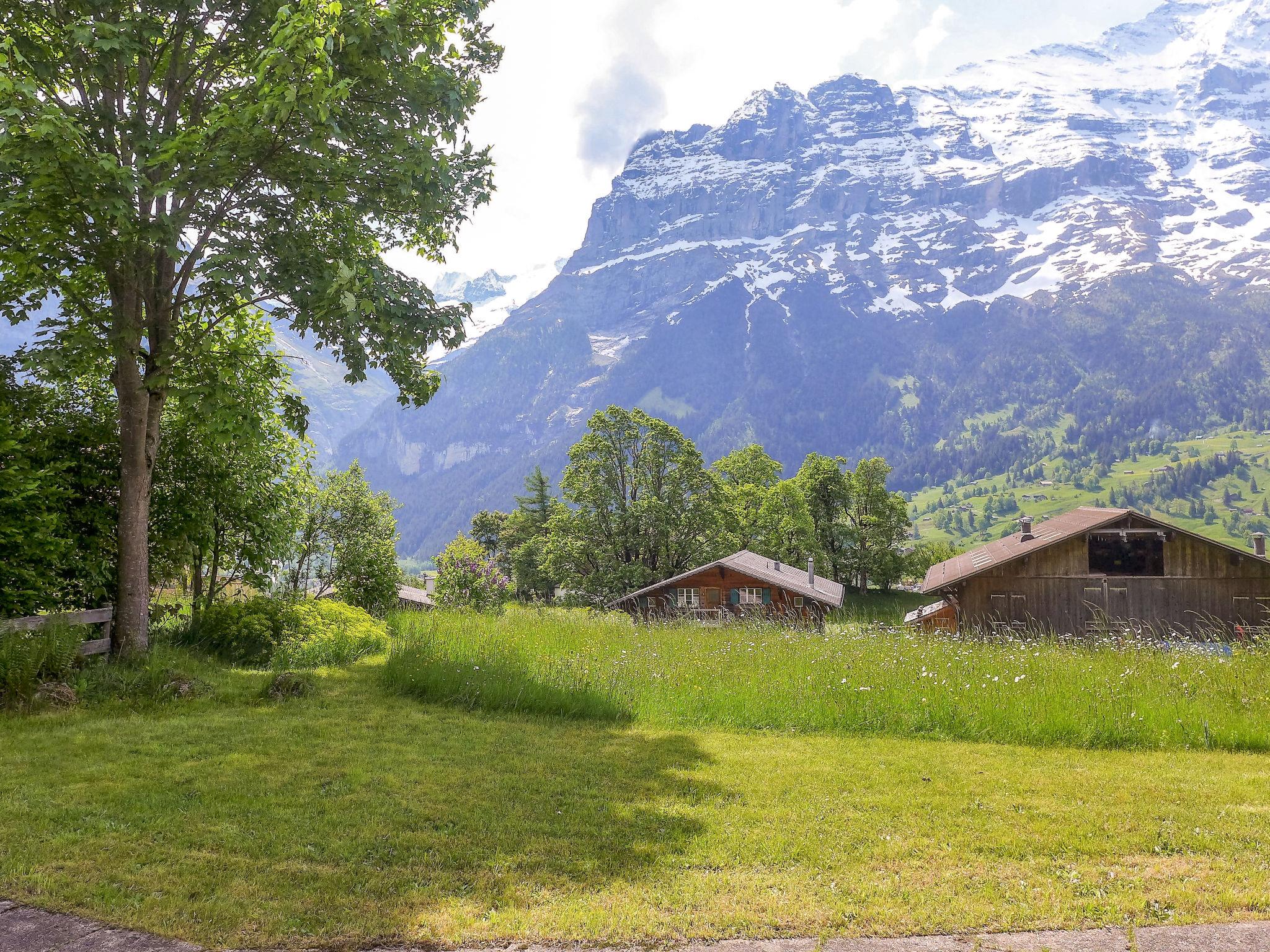 Foto 19 - Apartamento de 3 habitaciones en Grindelwald con jardín y vistas a la montaña