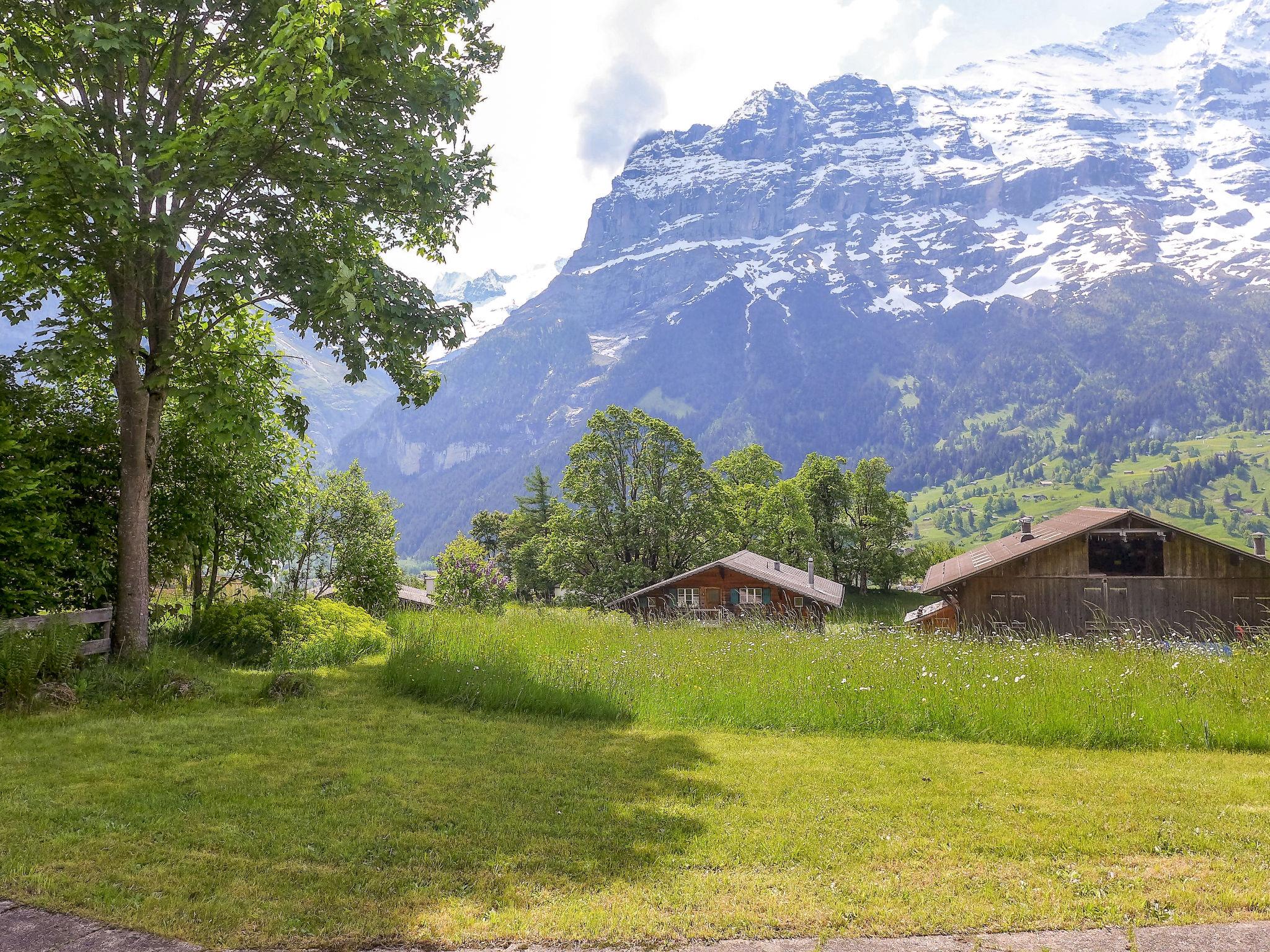 Foto 19 - Apartment mit 3 Schlafzimmern in Grindelwald mit garten und terrasse