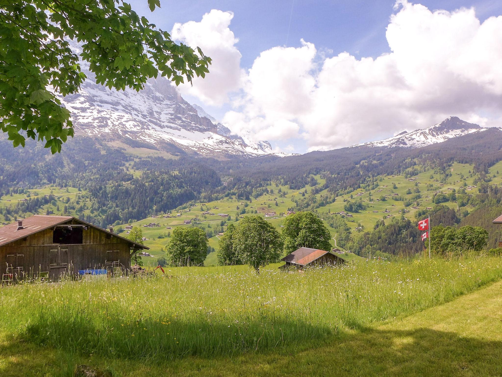 Foto 14 - Apartamento de 3 habitaciones en Grindelwald con jardín y vistas a la montaña