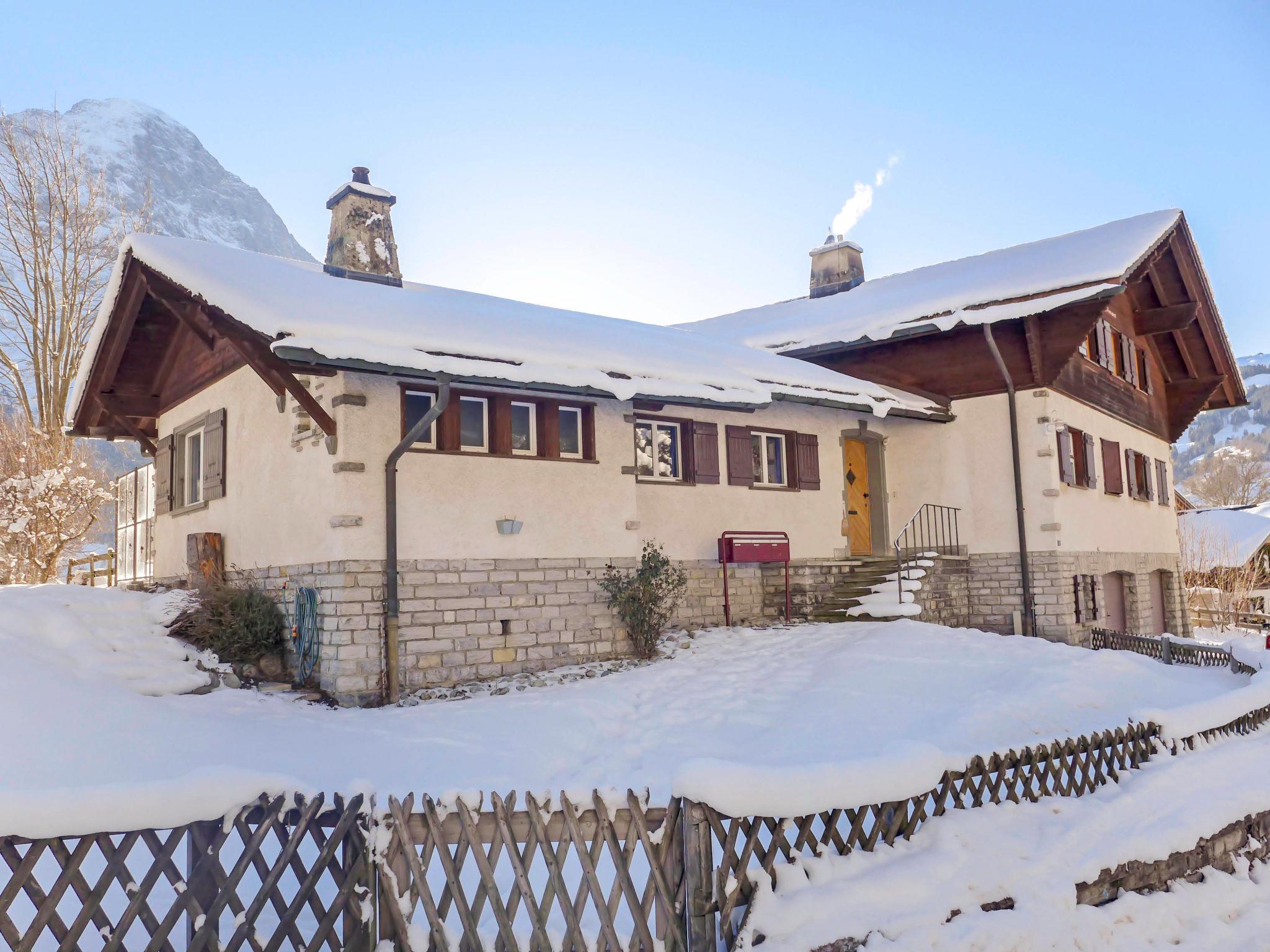 Foto 30 - Apartamento de 3 quartos em Grindelwald com jardim e terraço