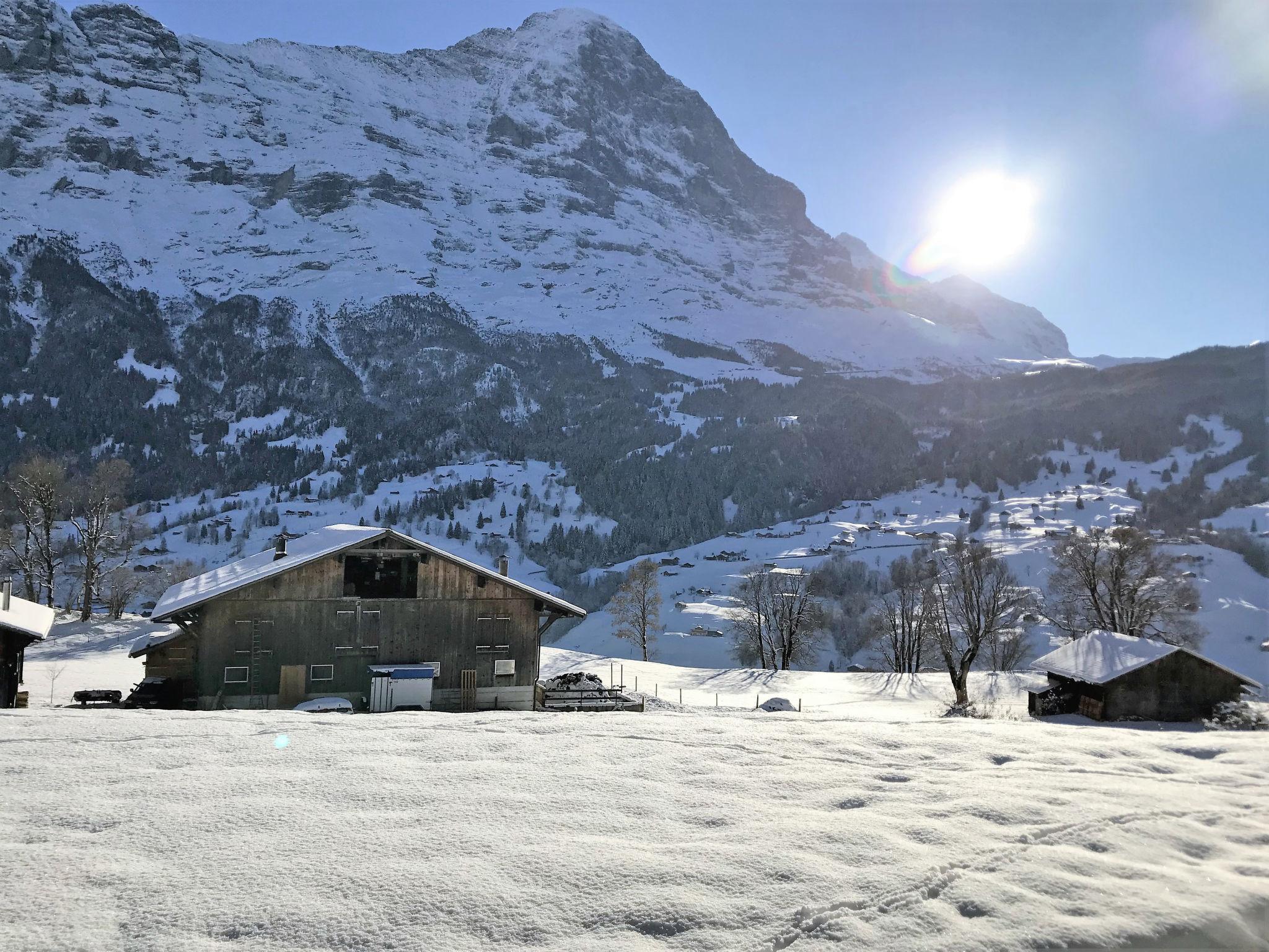 Foto 22 - Apartamento de 3 habitaciones en Grindelwald con jardín y vistas a la montaña