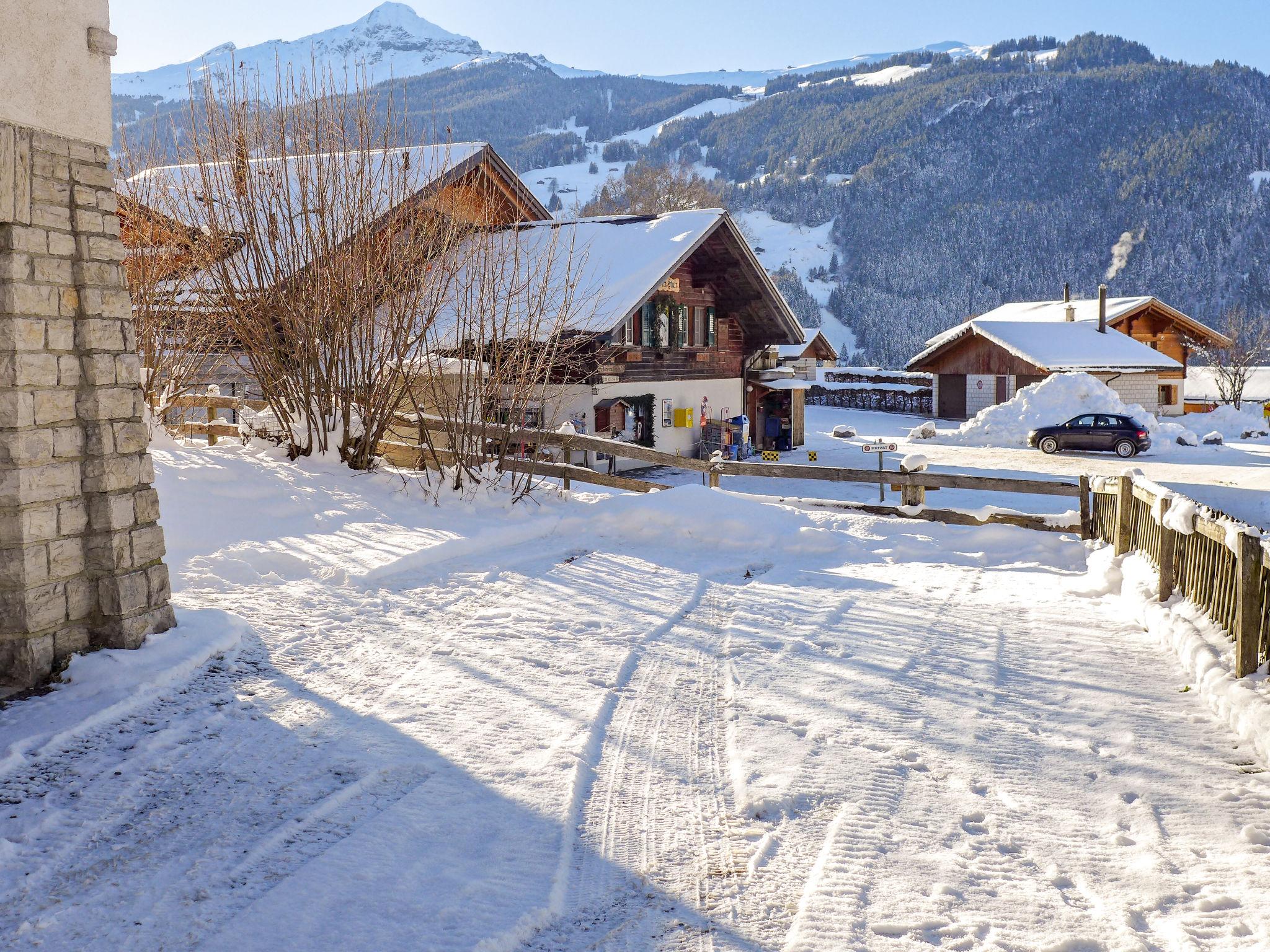 Foto 28 - Apartamento de 3 quartos em Grindelwald com jardim e terraço