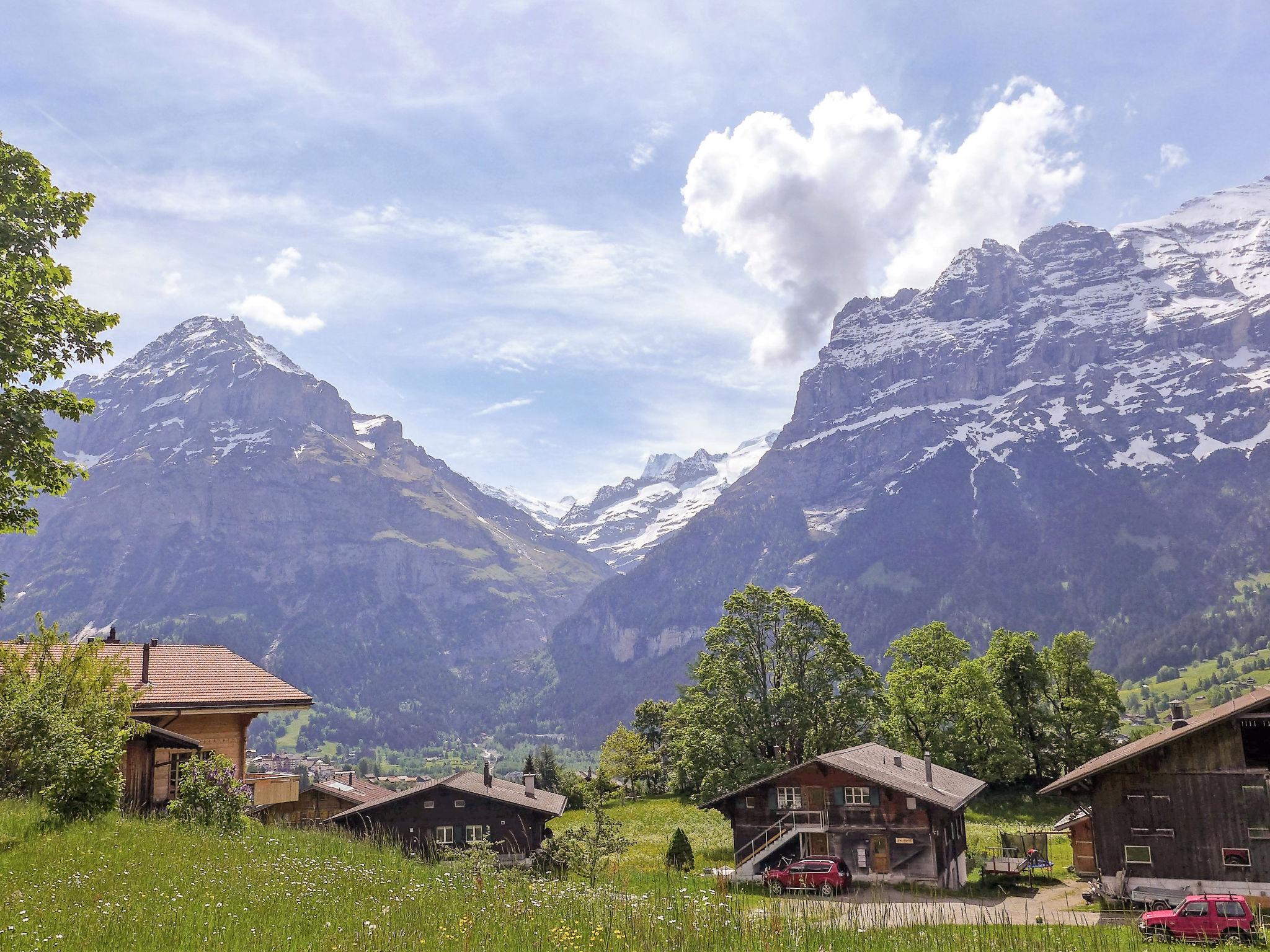 Photo 18 - 3 bedroom Apartment in Grindelwald with garden and mountain view