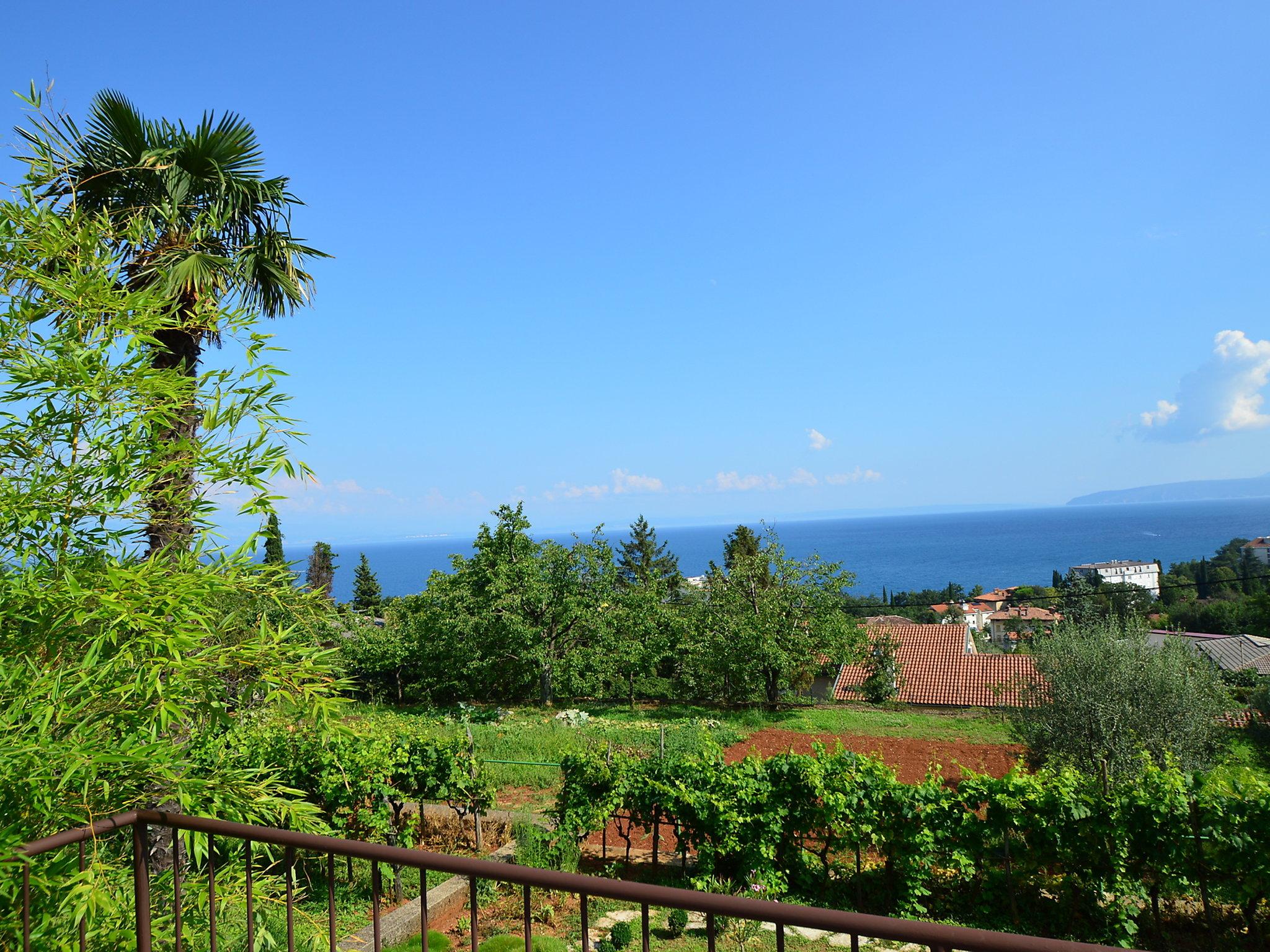 Foto 16 - Appartamento con 1 camera da letto a Opatija con giardino e terrazza