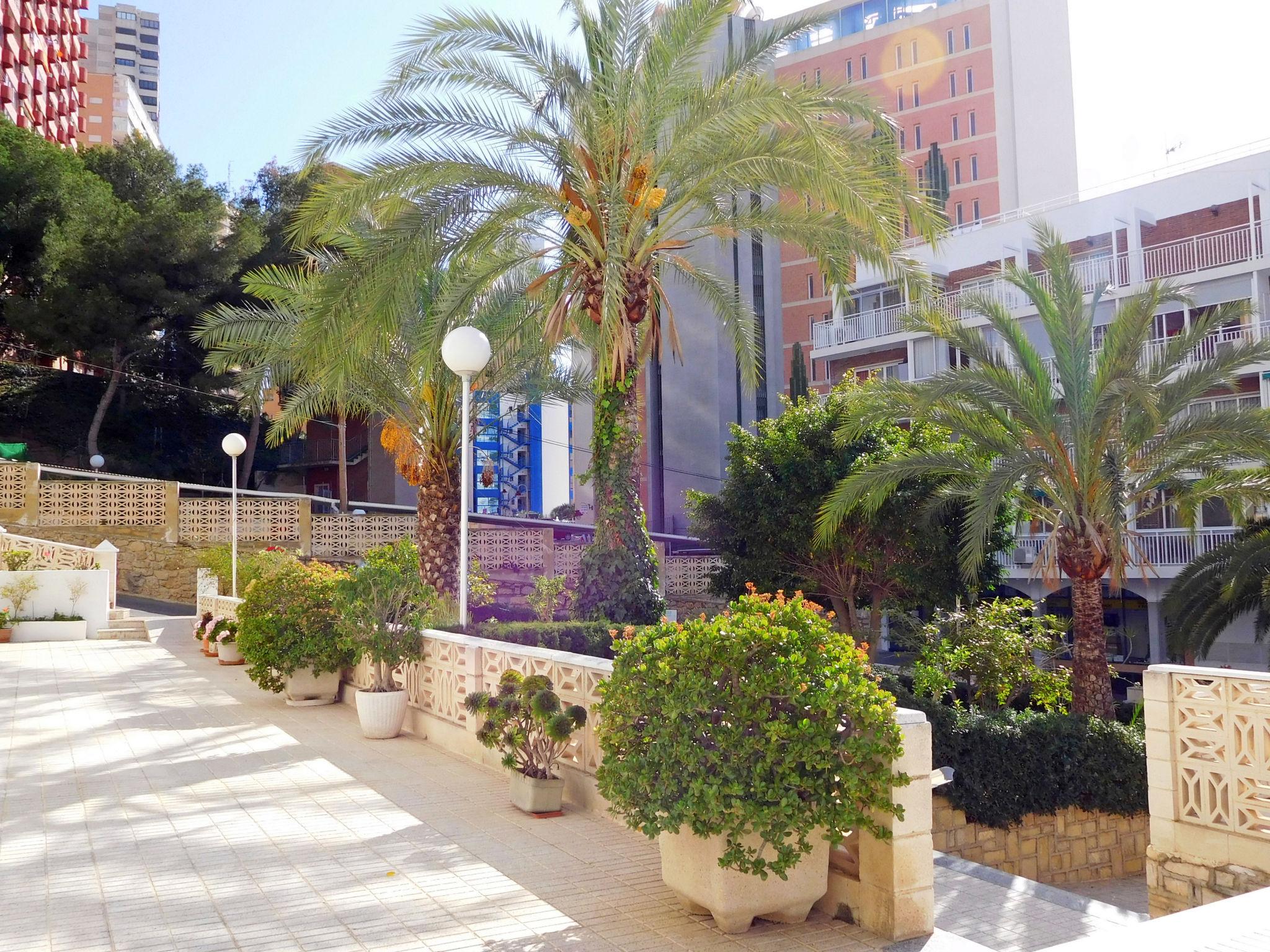 Photo 5 - Appartement de 2 chambres à Benidorm avec piscine et terrasse