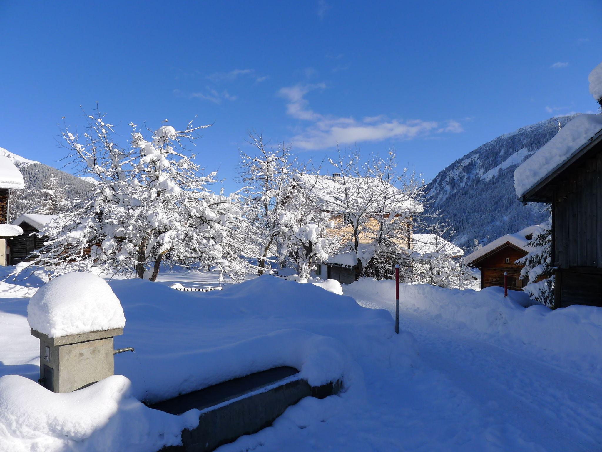 Foto 35 - Apartamento de 4 quartos em Disentis/Mustér com jardim e terraço