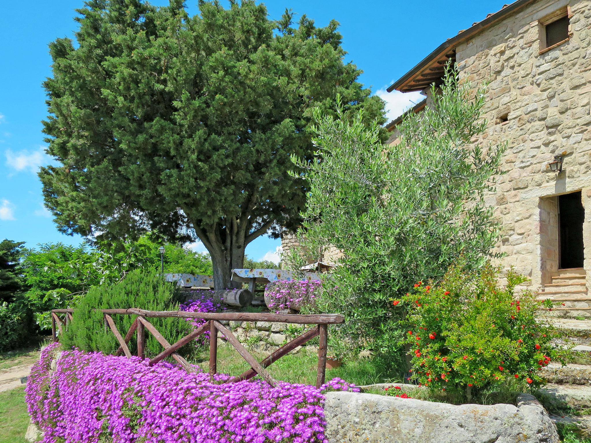 Foto 1 - Appartamento con 1 camera da letto a Roccastrada con piscina e giardino