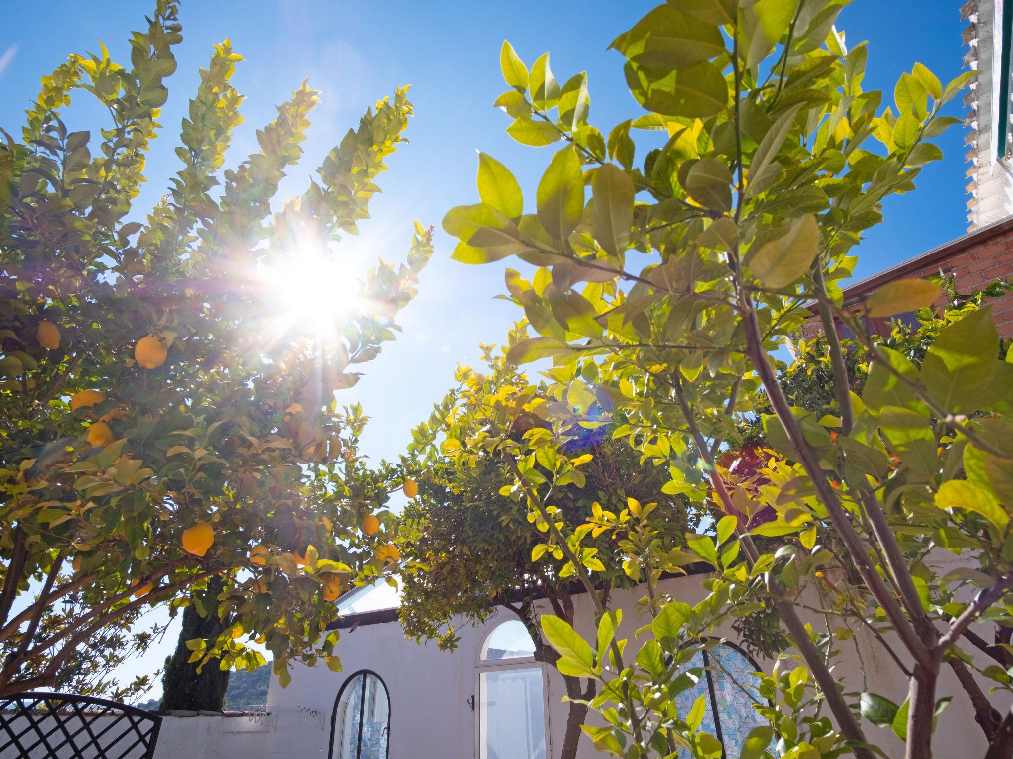 Photo 28 - Maison de 2 chambres à Priego de Córdoba avec piscine privée et jardin