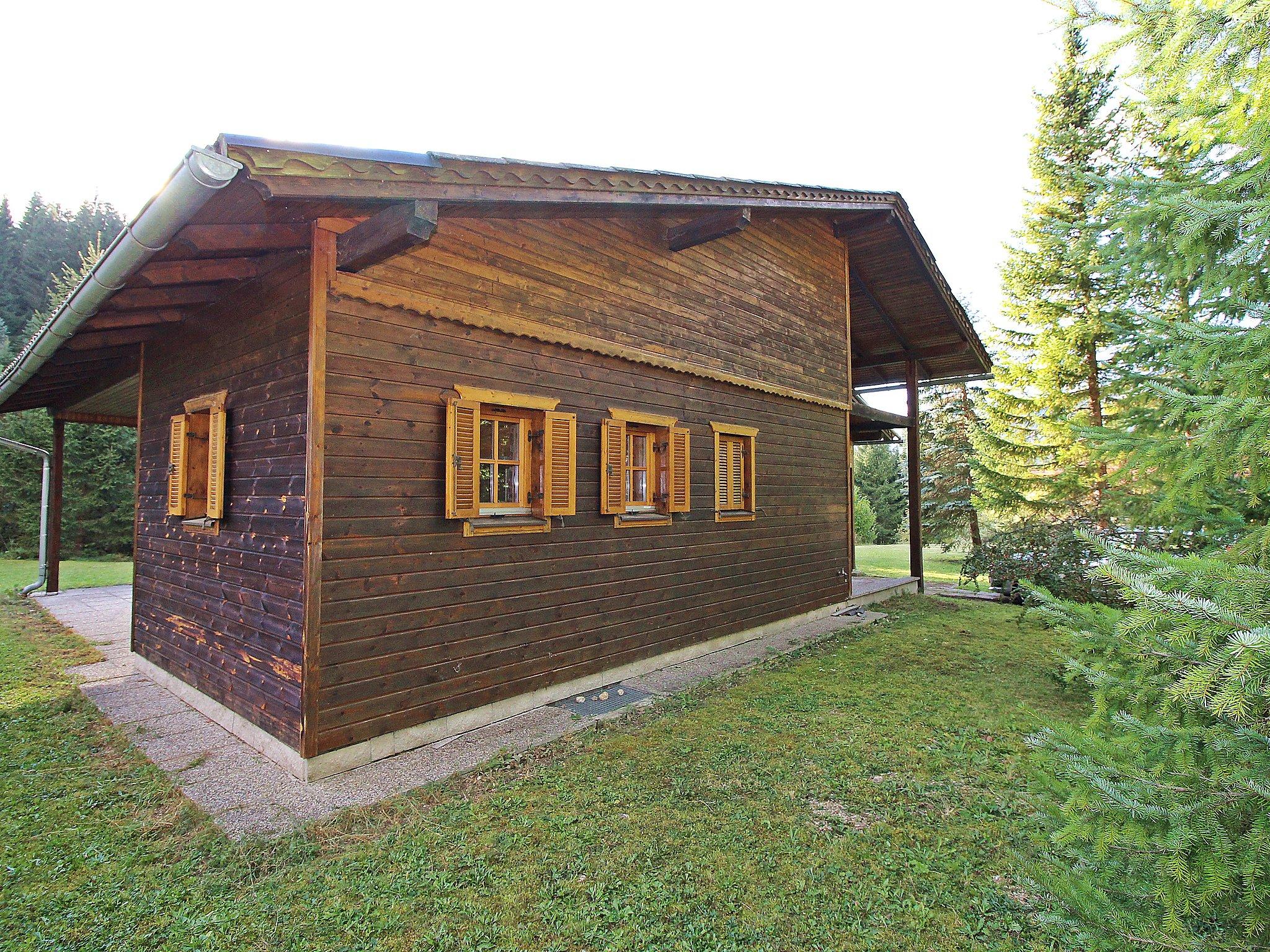 Photo 14 - Maison de 1 chambre à Sankt Aegyd am Neuwalde avec jardin et vues sur la montagne