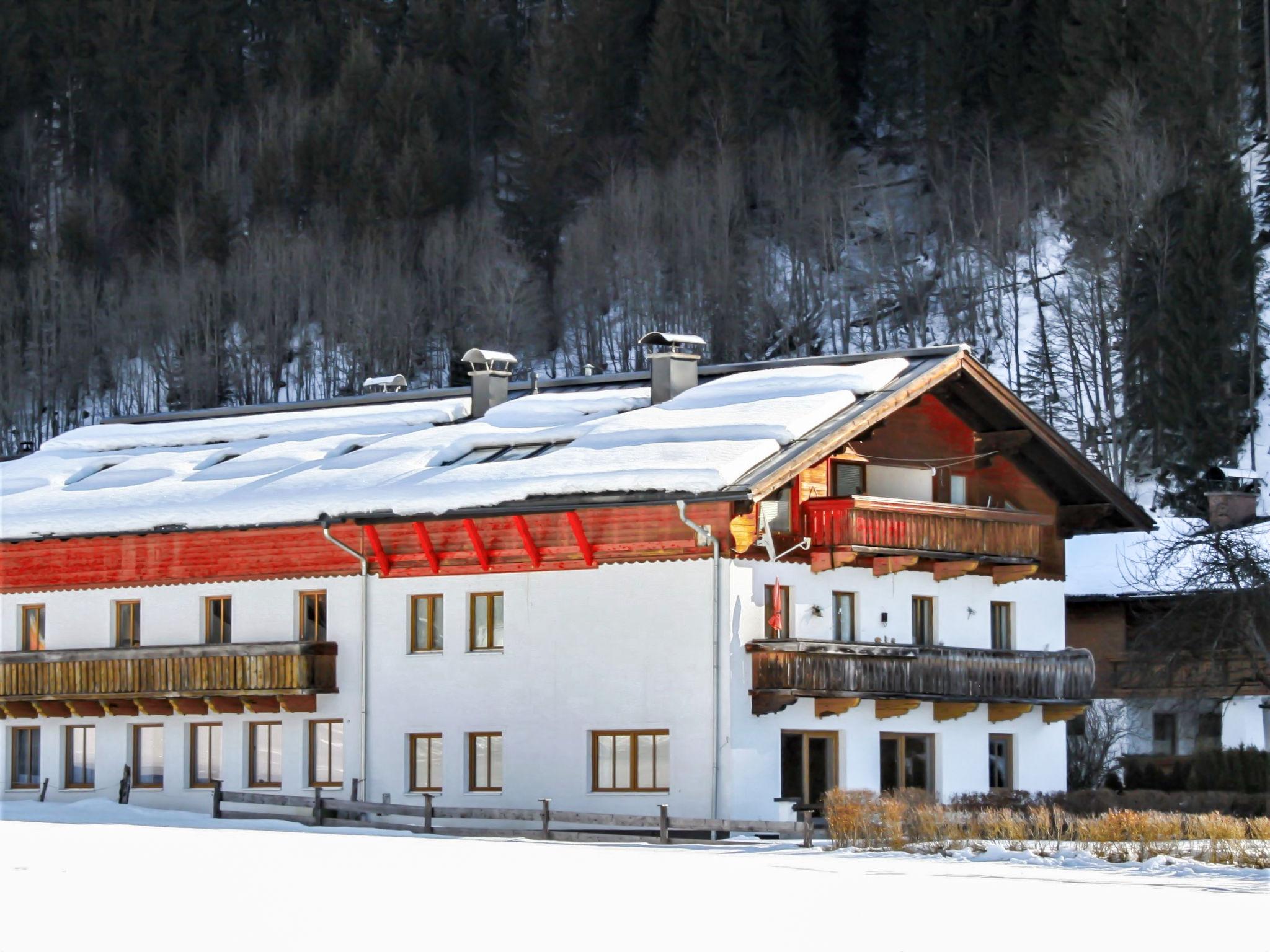 Photo 22 - Appartement de 2 chambres à Werfenweng avec jardin et vues sur la montagne