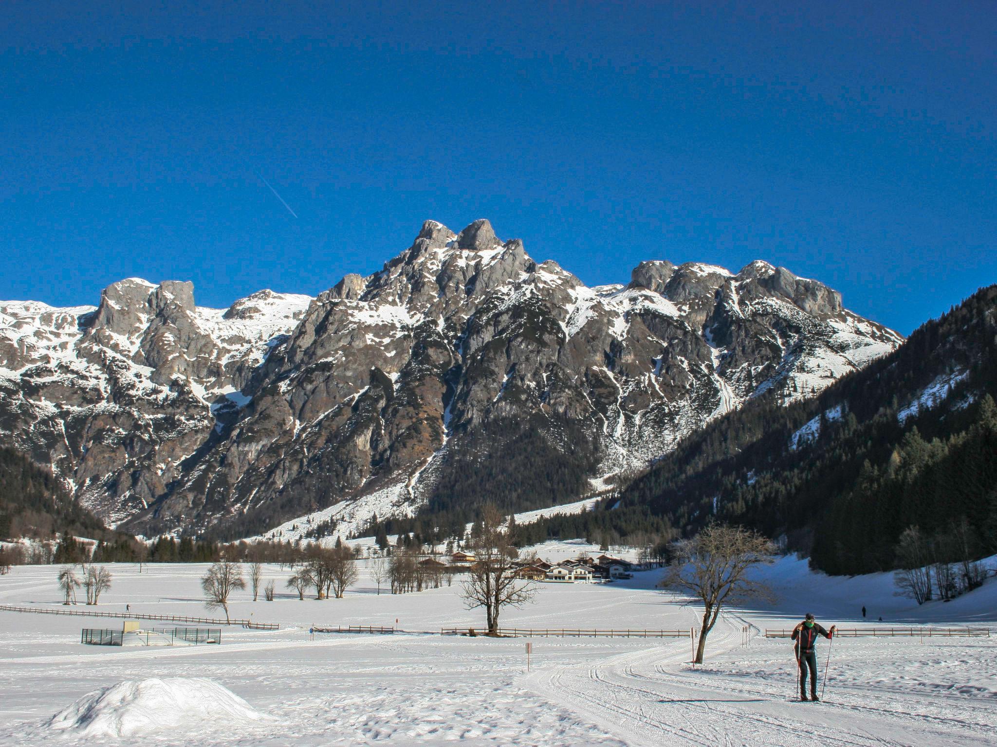 Photo 13 - 1 bedroom Apartment in Werfenweng with garden and mountain view