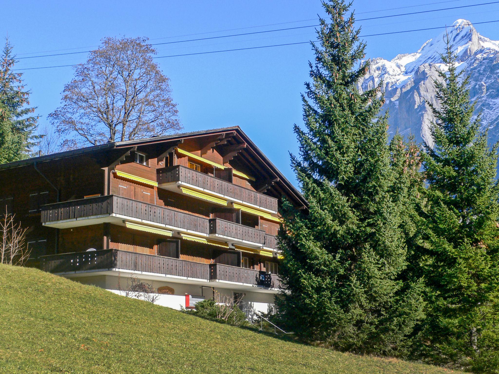 Foto 1 - Appartamento con 3 camere da letto a Grindelwald con vista sulle montagne