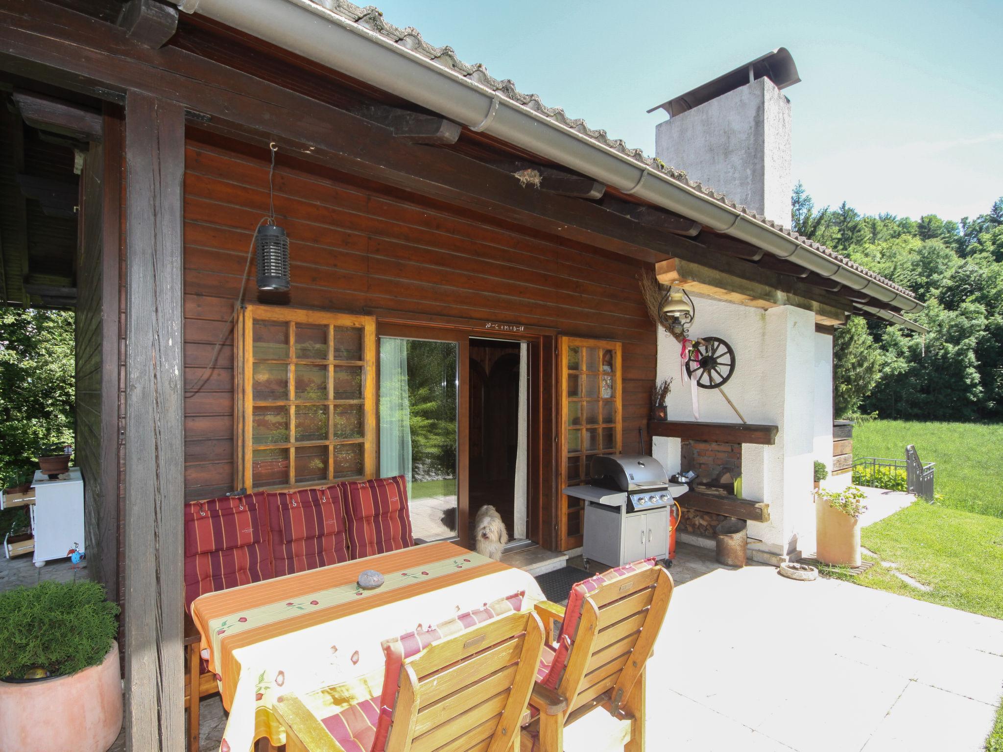 Photo 29 - Maison de 2 chambres à Ebenthal in Kärnten avec jardin et terrasse