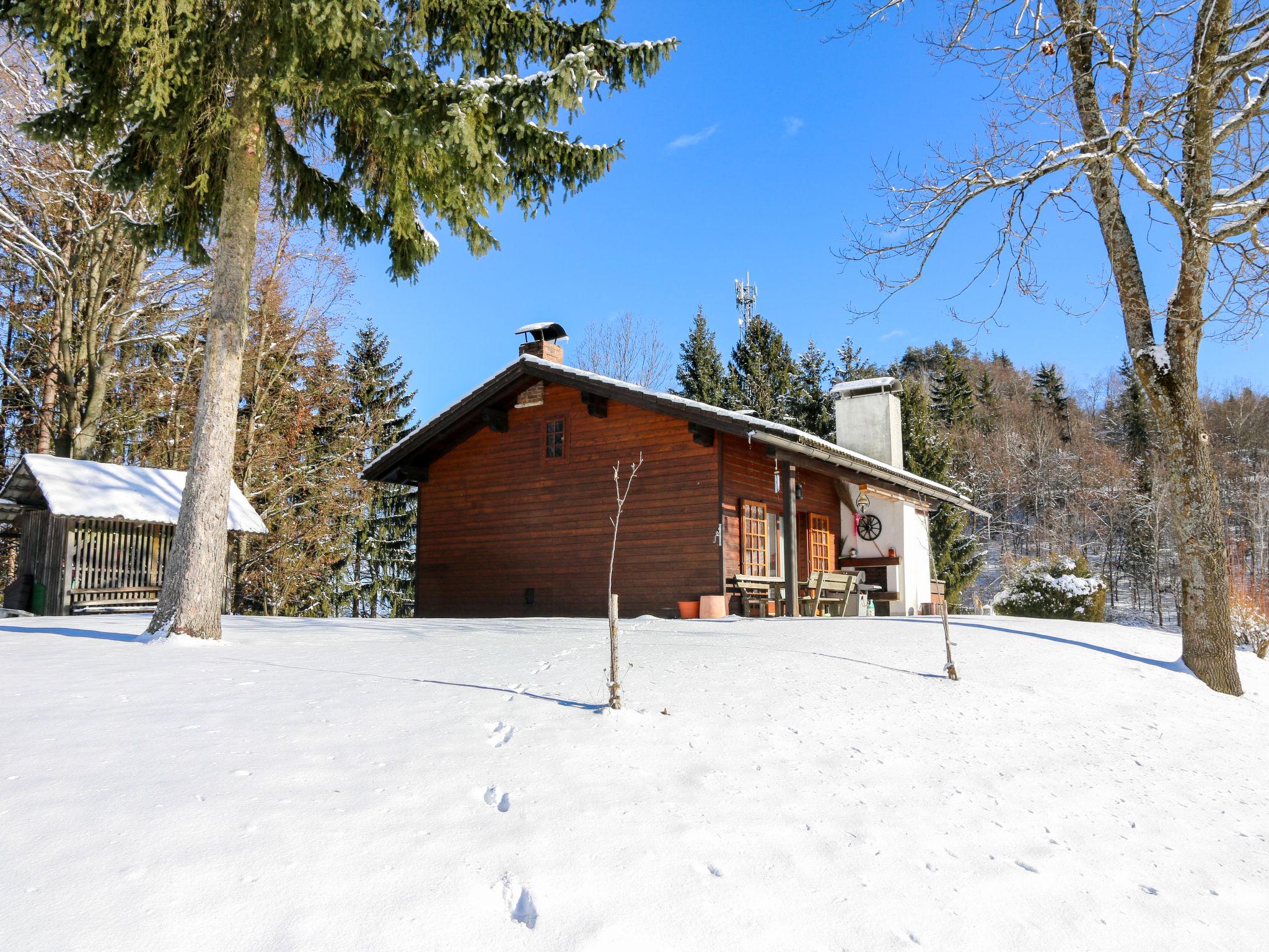 Photo 33 - Maison de 2 chambres à Ebenthal in Kärnten avec jardin et vues sur la montagne