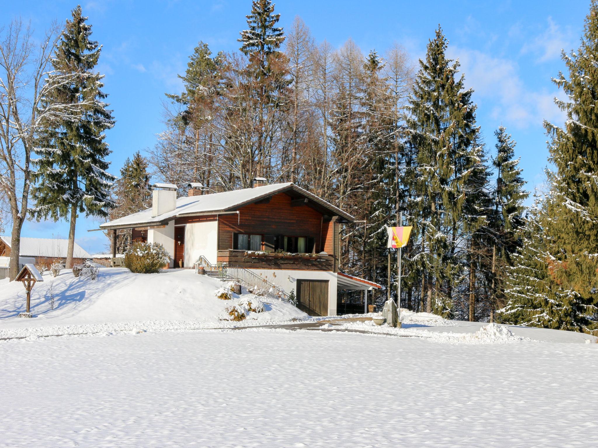 Foto 32 - Casa de 2 habitaciones en Ebenthal in Kärnten con jardín y vistas a la montaña