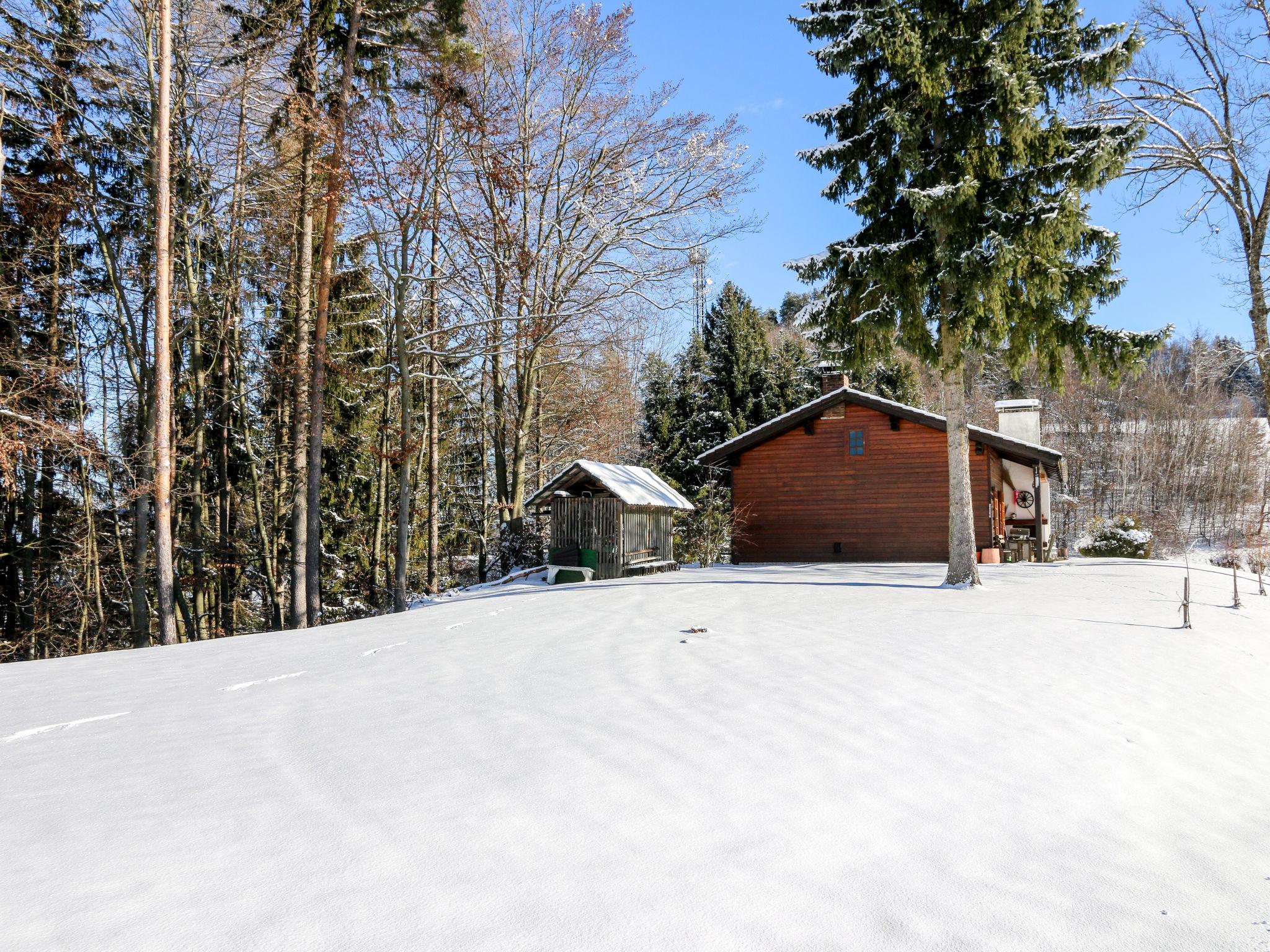 Photo 34 - Maison de 2 chambres à Ebenthal in Kärnten avec jardin et vues sur la montagne