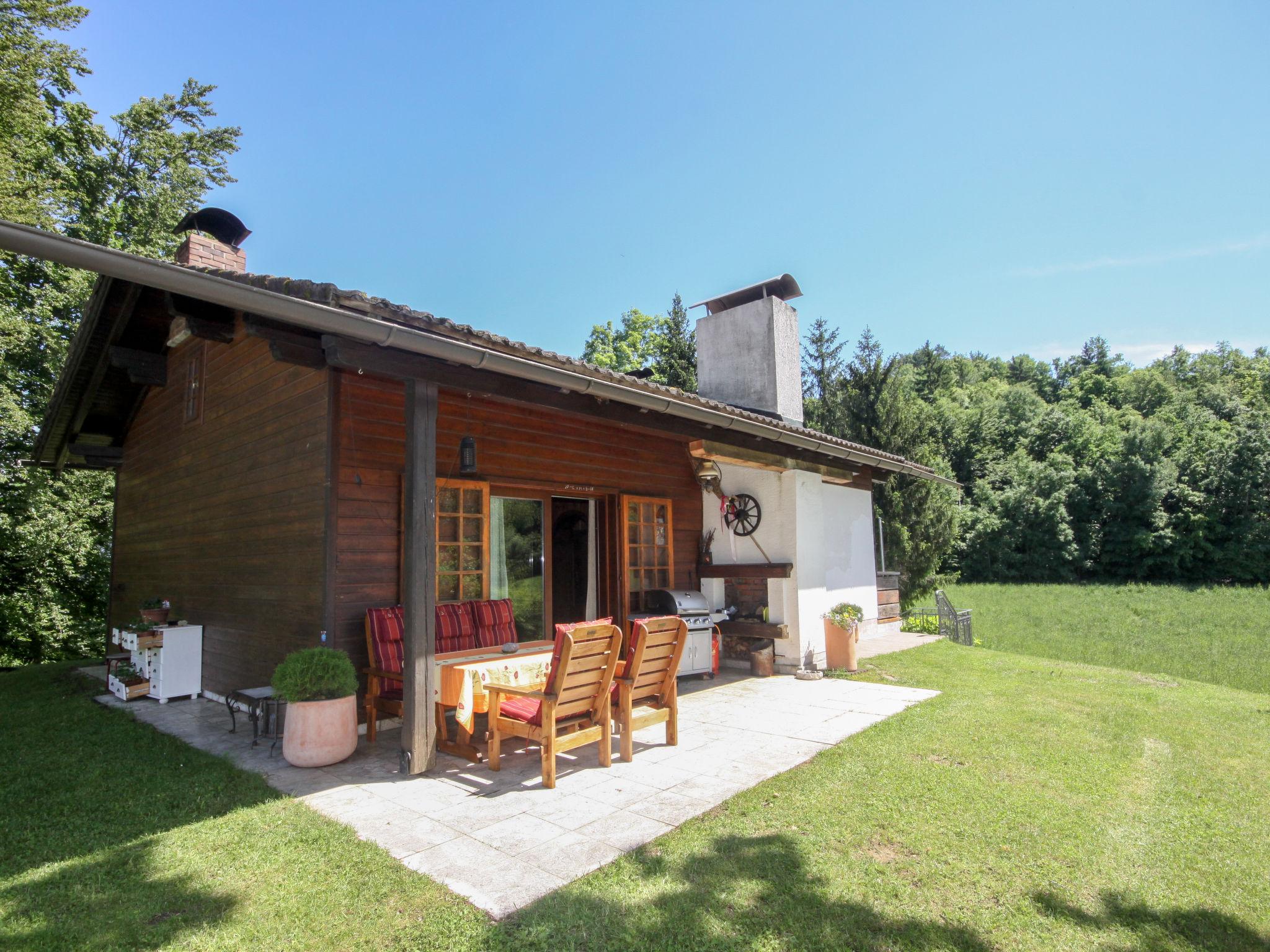 Photo 26 - Maison de 2 chambres à Ebenthal in Kärnten avec jardin et vues sur la montagne