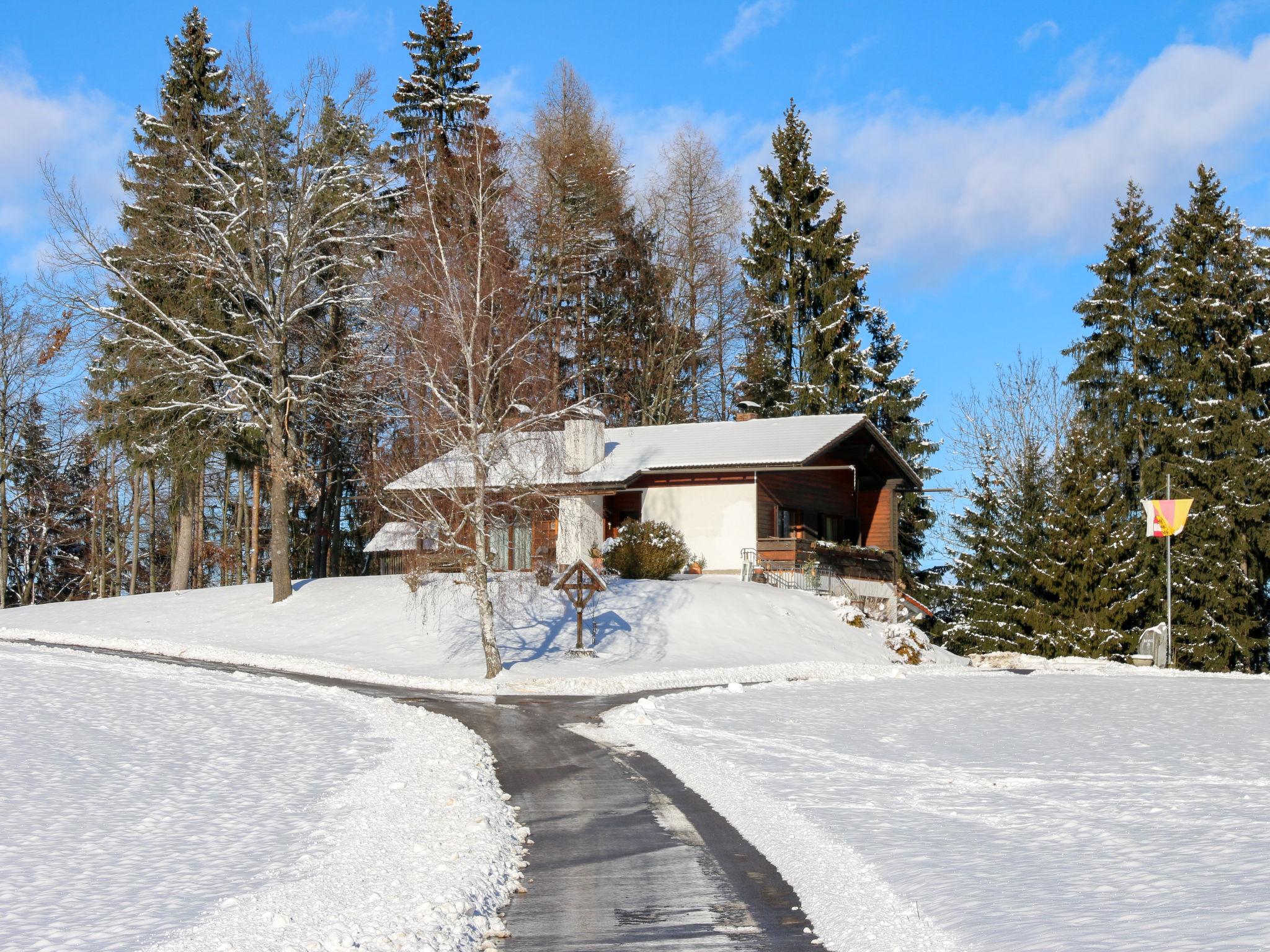 Photo 31 - Maison de 2 chambres à Ebenthal in Kärnten avec jardin et vues sur la montagne