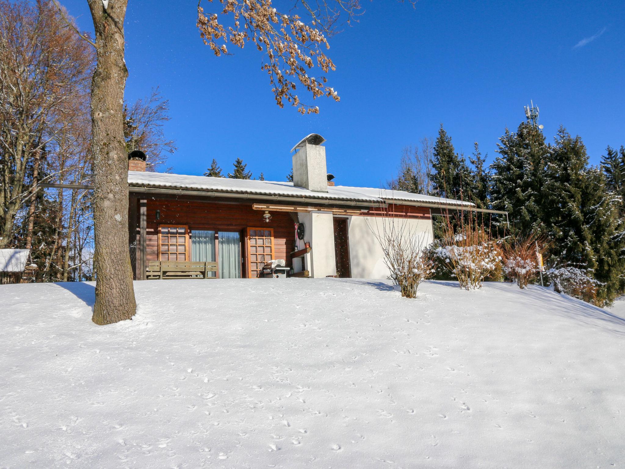 Photo 30 - Maison de 2 chambres à Ebenthal in Kärnten avec jardin et vues sur la montagne