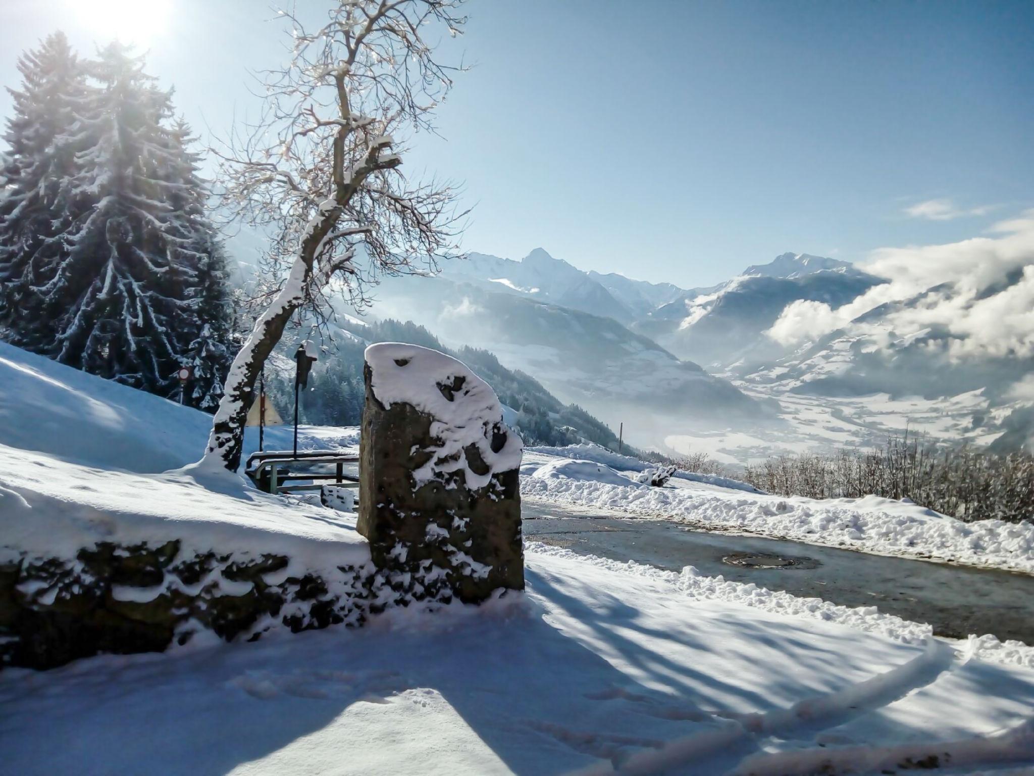 Photo 56 - Appartement de 2 chambres à Aschau im Zillertal avec jardin