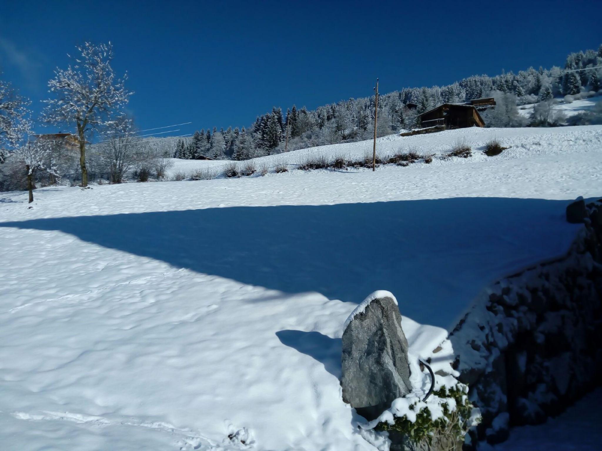 Photo 60 - Appartement de 2 chambres à Aschau im Zillertal avec jardin et vues sur la montagne