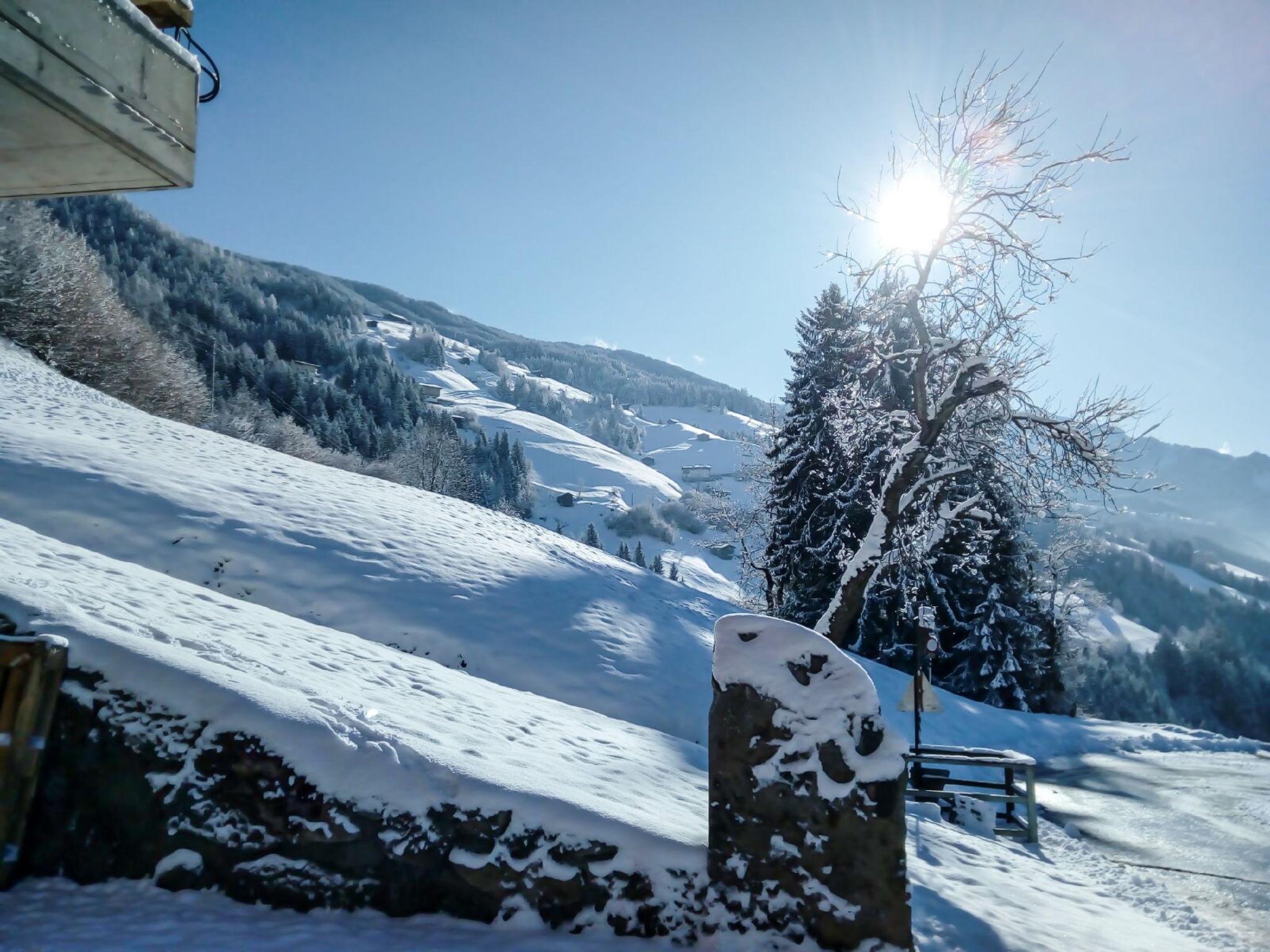 Foto 57 - Appartamento con 2 camere da letto a Aschau im Zillertal con giardino