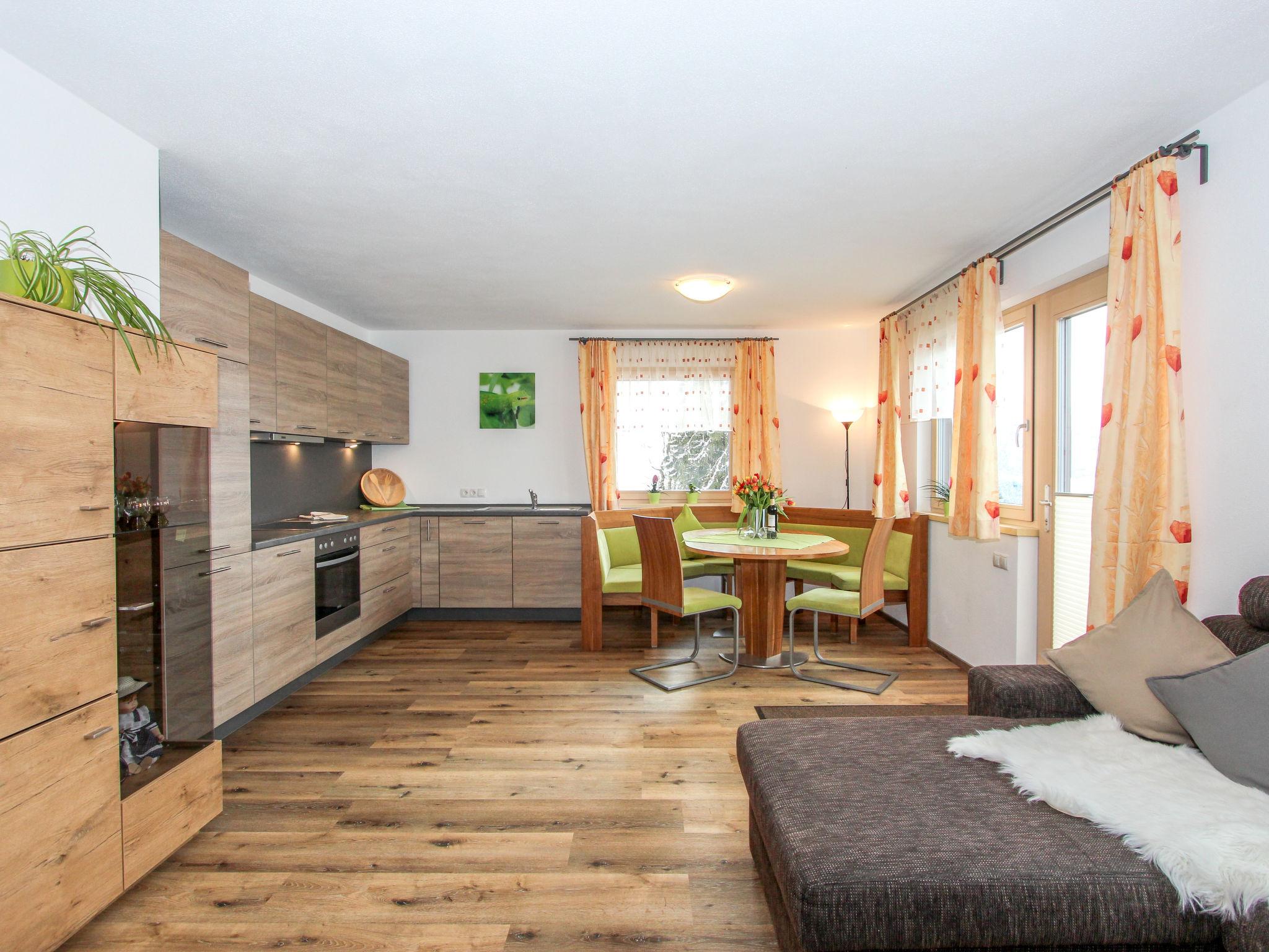 Foto 15 - Appartamento con 2 camere da letto a Aschau im Zillertal con giardino e vista sulle montagne