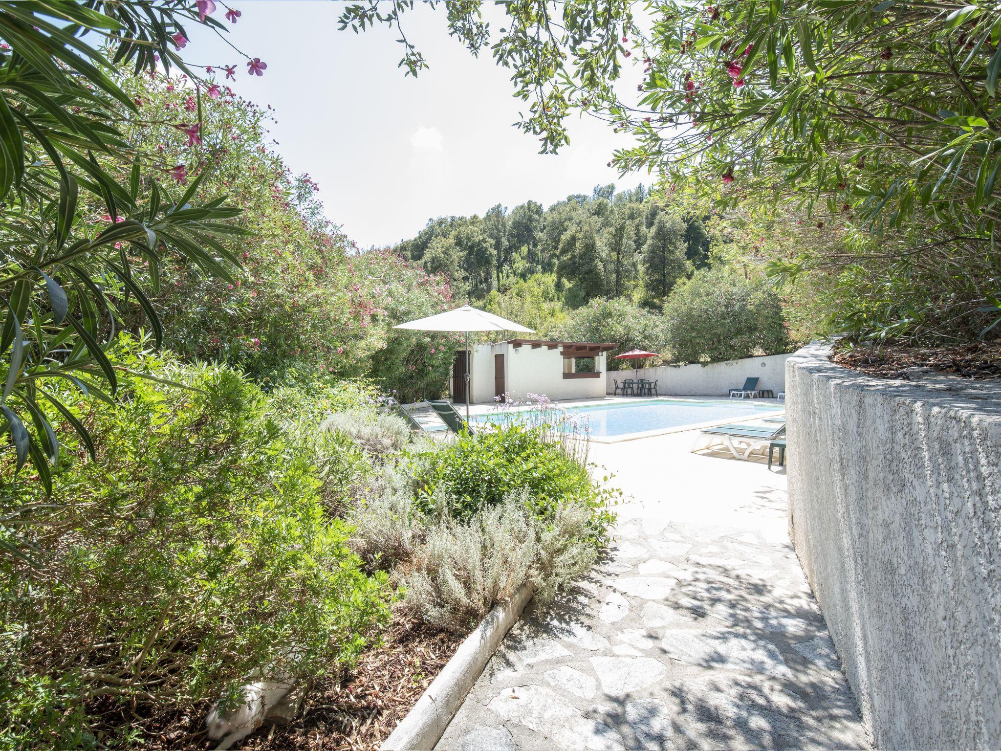 Photo 21 - Maison de 4 chambres à Pietroso avec piscine et jardin