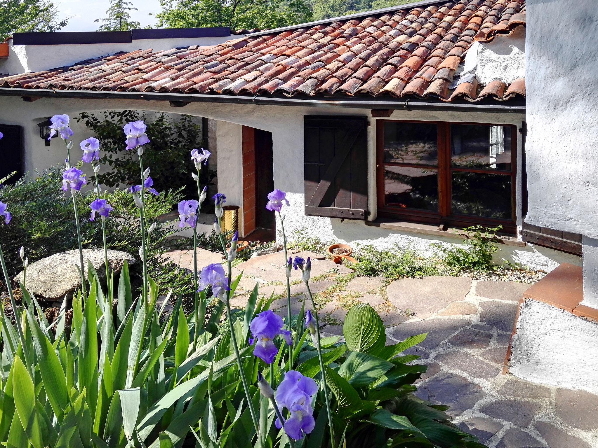 Foto 1 - Casa de 2 quartos em Leggiuno com terraço e vista para a montanha