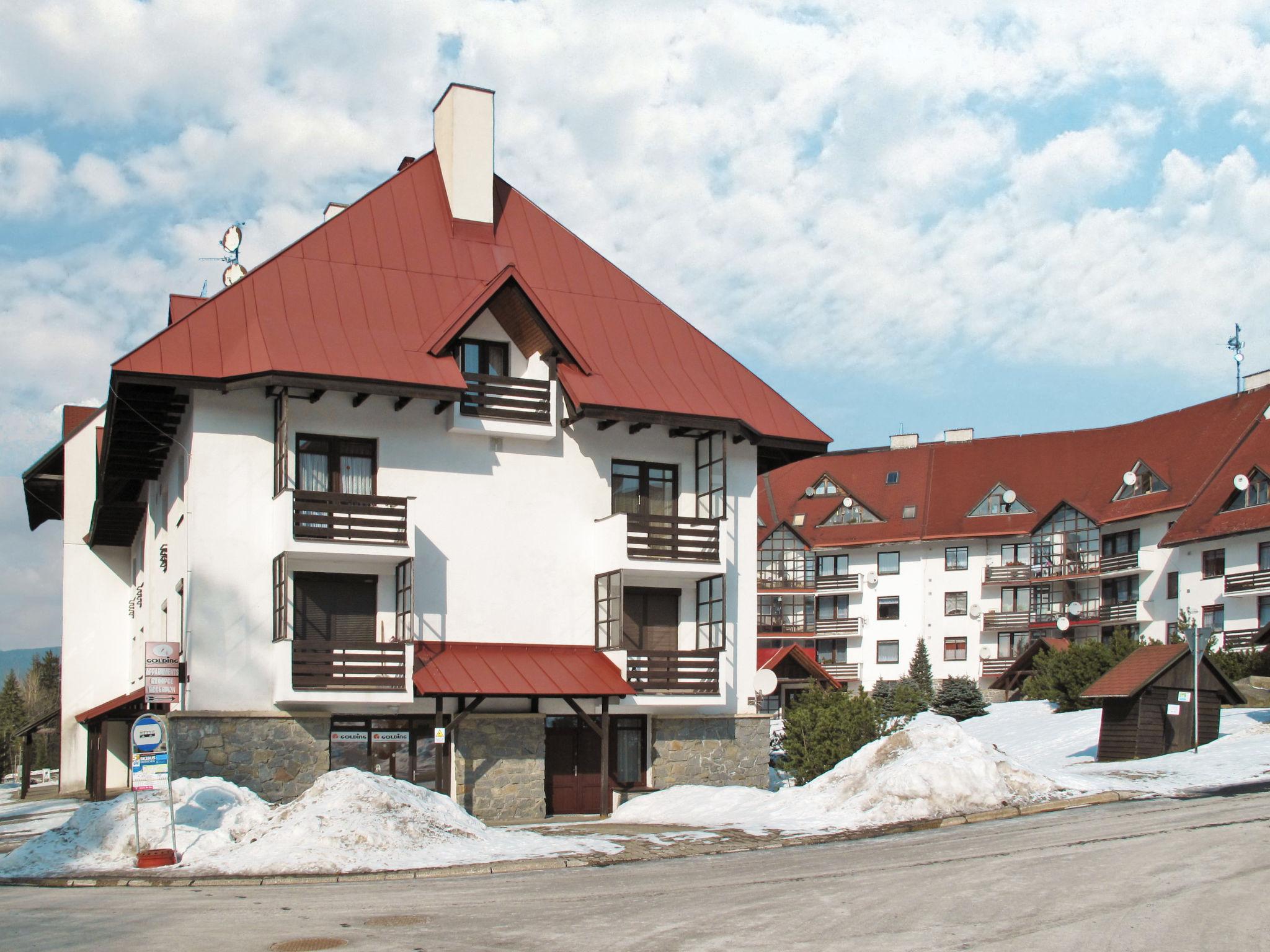 Photo 25 - Appartement en Harrachov avec jardin