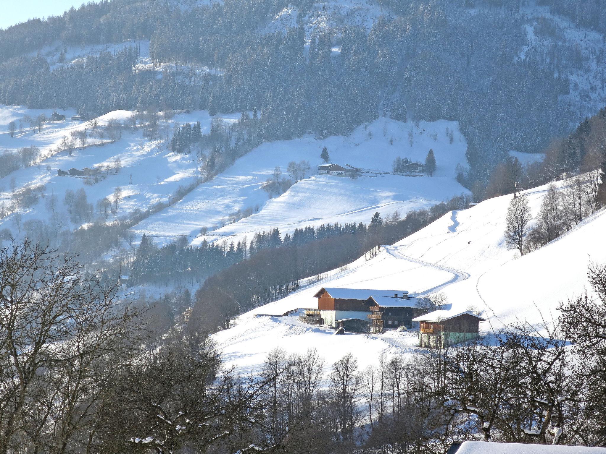 Photo 27 - 4 bedroom Apartment in Piesendorf with terrace and mountain view