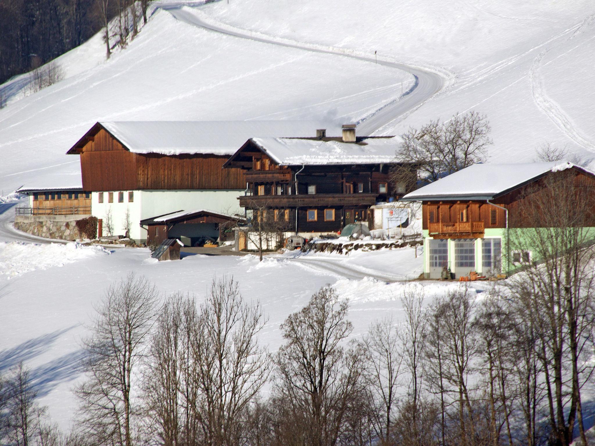 Foto 26 - Apartamento de 4 habitaciones en Piesendorf con terraza y vistas a la montaña