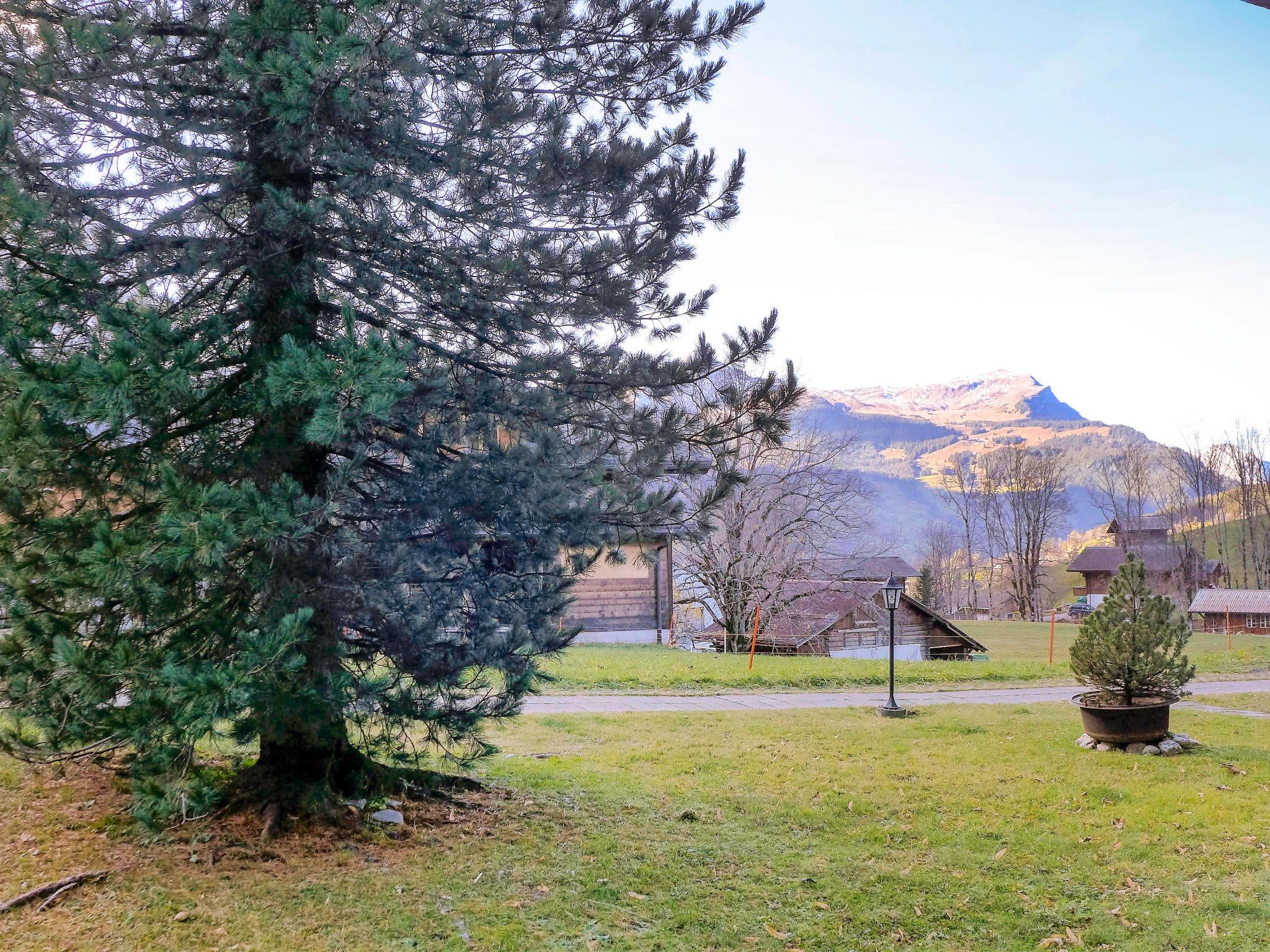 Foto 7 - Appartamento con 1 camera da letto a Grindelwald con giardino