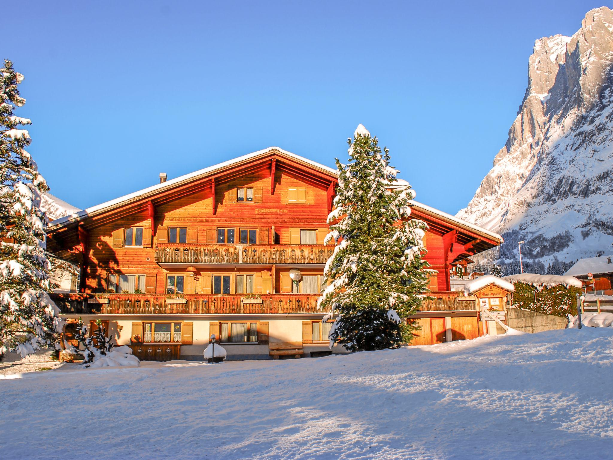 Foto 11 - Appartamento con 1 camera da letto a Grindelwald con giardino e vista sulle montagne