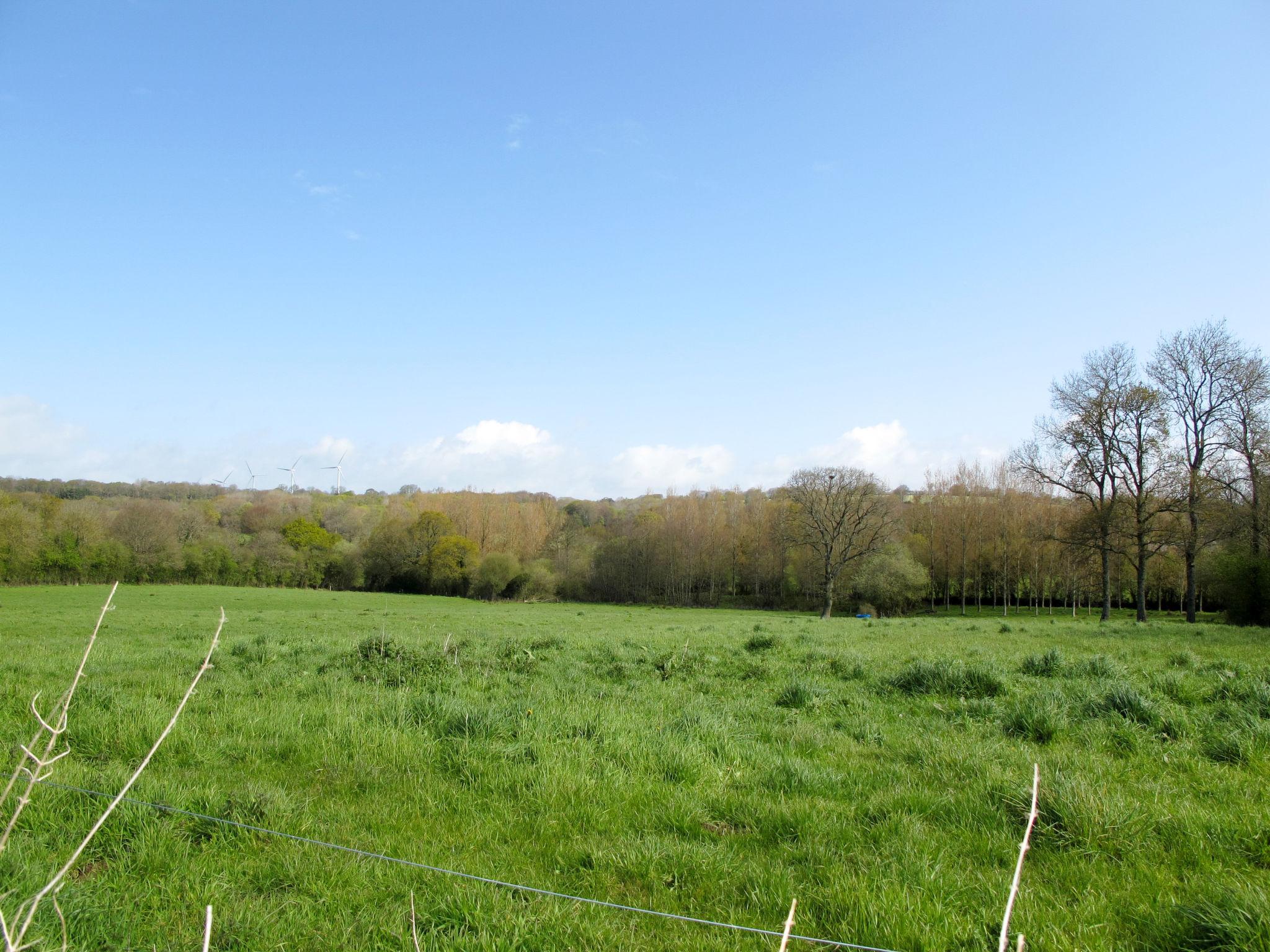 Photo 22 - 4 bedroom House in Saint-Maurice-en-Cotentin with terrace