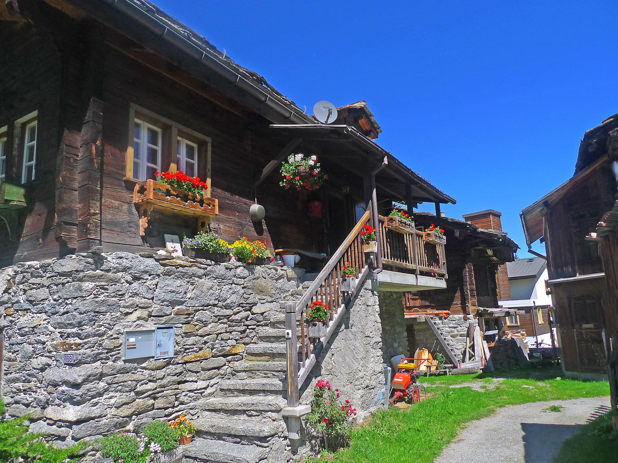 Photo 12 - Appartement de 3 chambres à Grächen avec jardin et vues sur la montagne