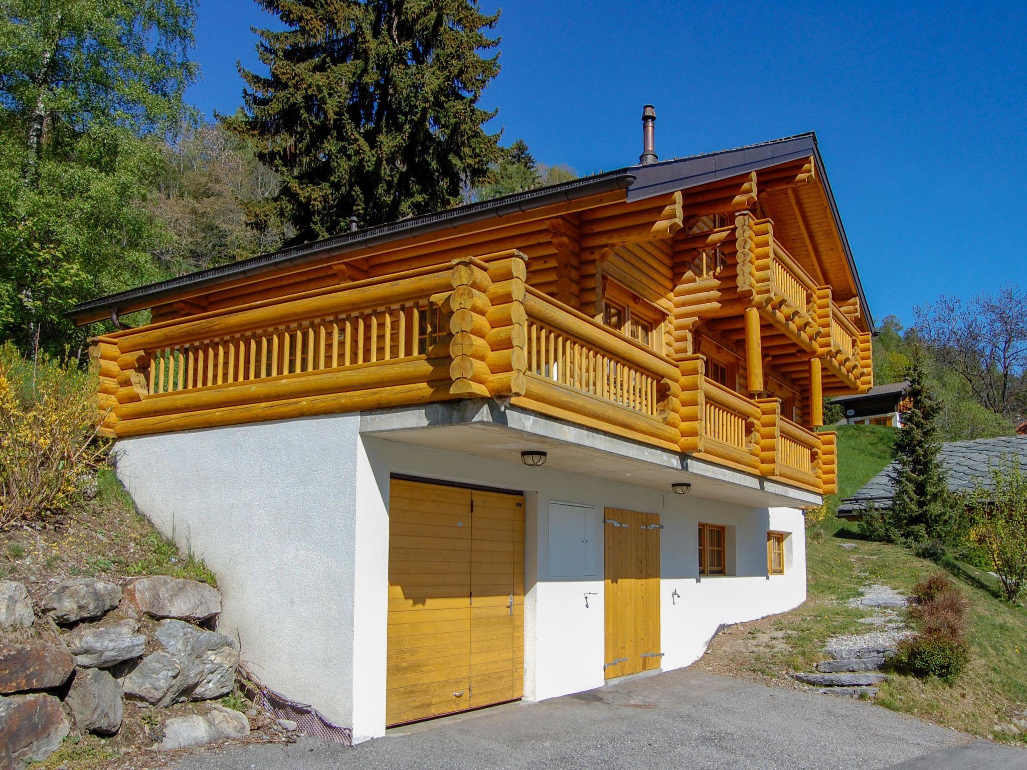 Foto 11 - Casa de 6 quartos em Nendaz com jardim e terraço