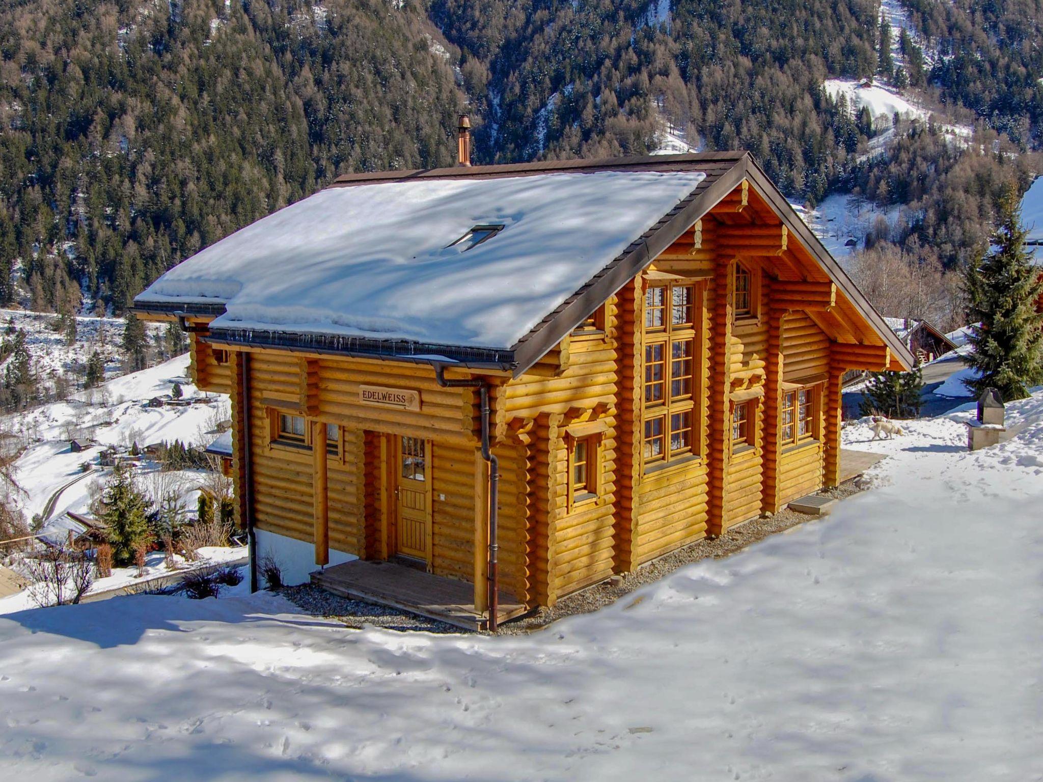 Foto 43 - Casa con 6 camere da letto a Nendaz con giardino e terrazza