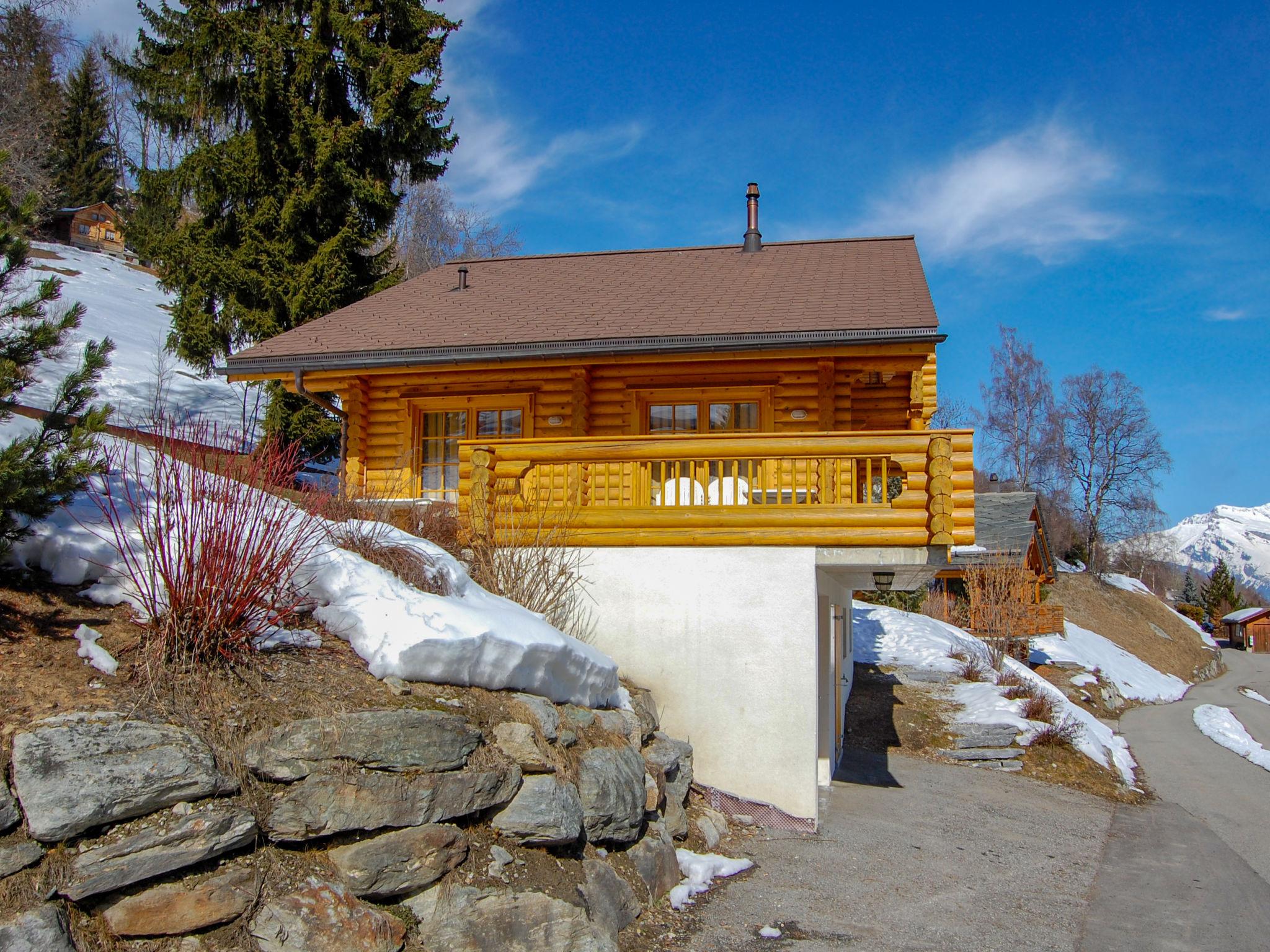 Foto 11 - Casa de 6 quartos em Nendaz com jardim e vista para a montanha
