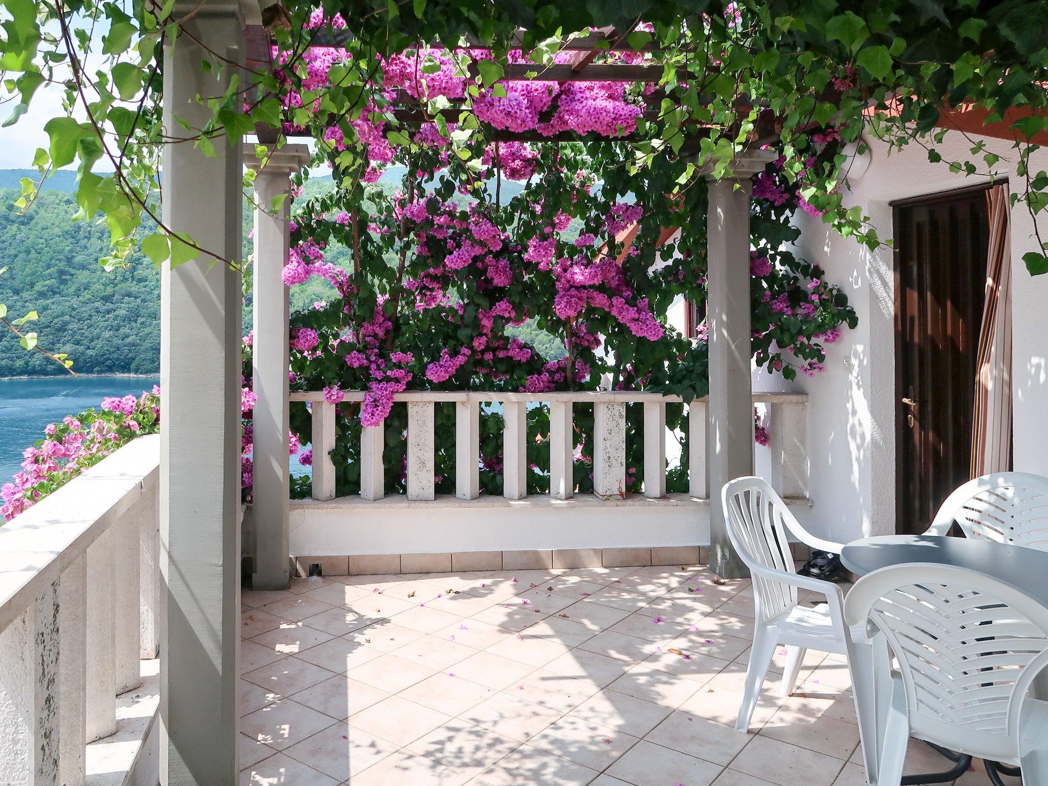 Photo 4 - Appartement de 1 chambre à Labin avec terrasse