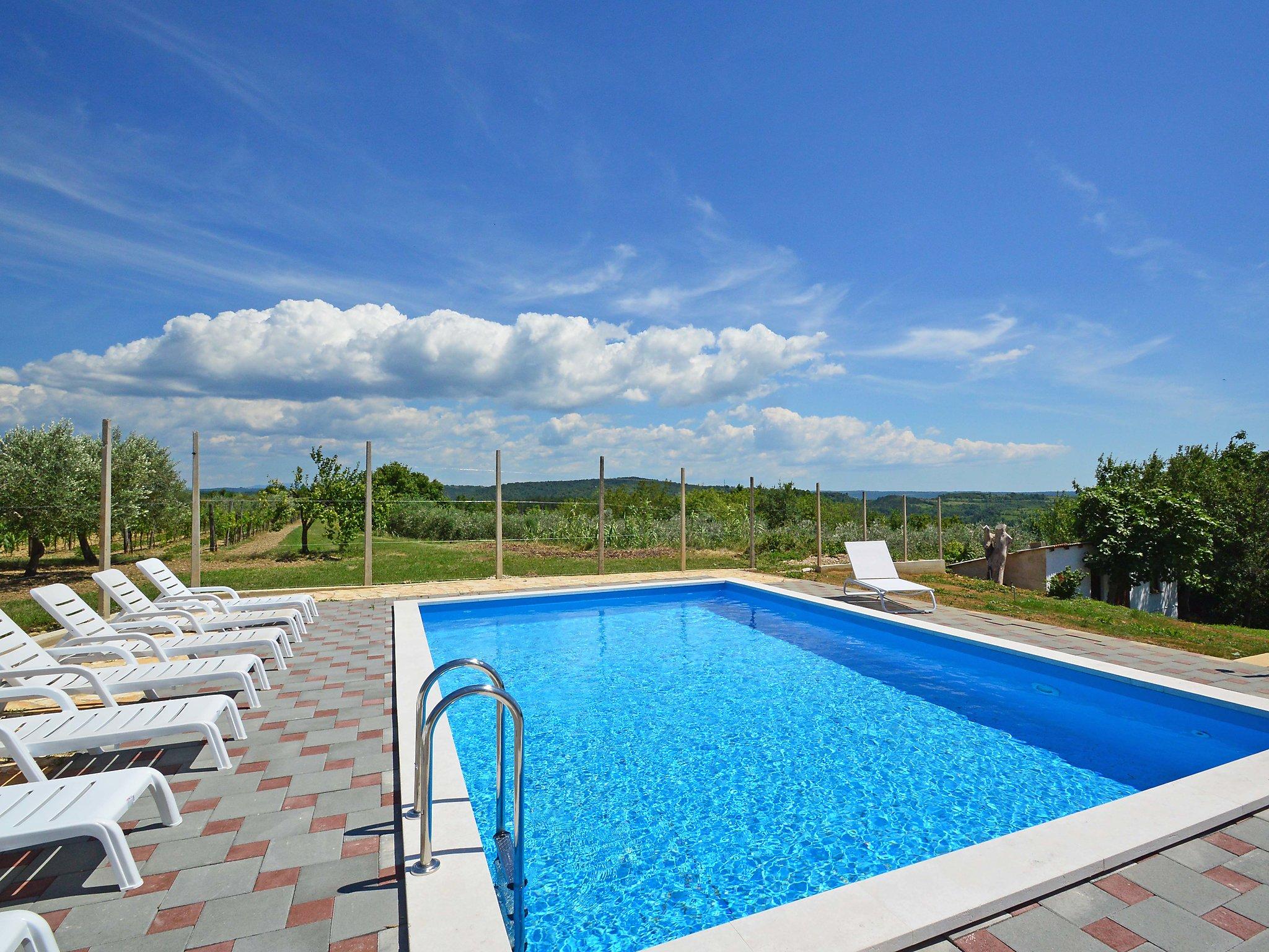 Foto 1 - Casa con 5 camere da letto a Buje con piscina privata e giardino