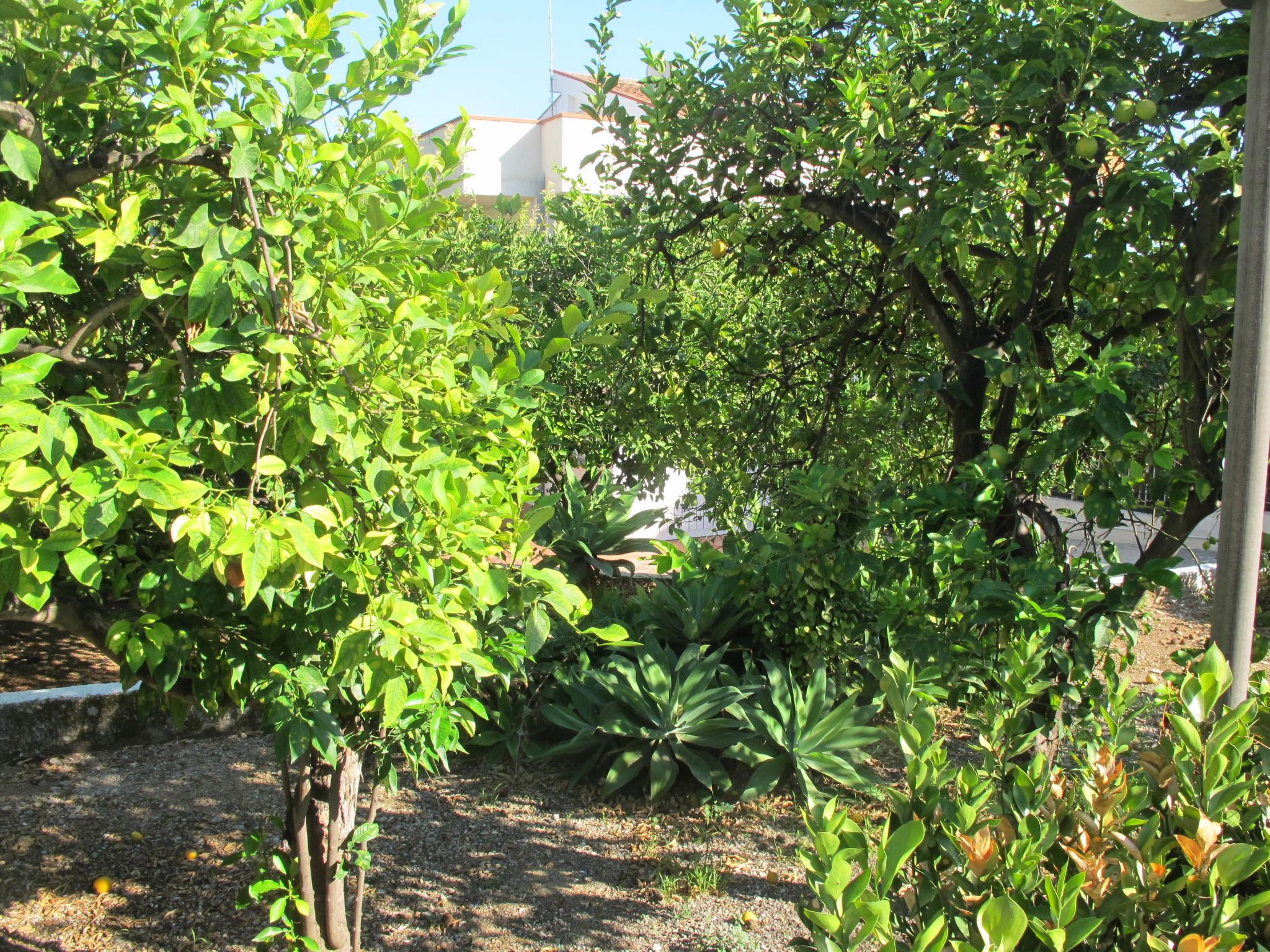 Foto 15 - Apartamento en Siracusa con piscina y jardín