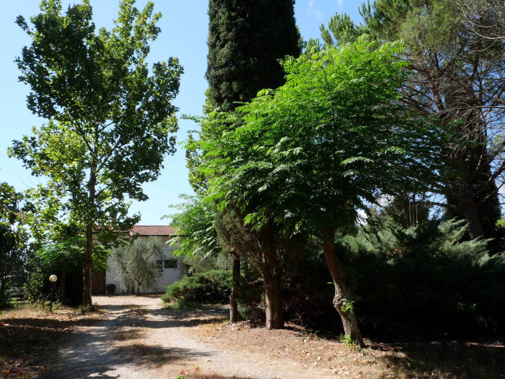 Photo 2 - Maison de 1 chambre à Grosseto avec jardin