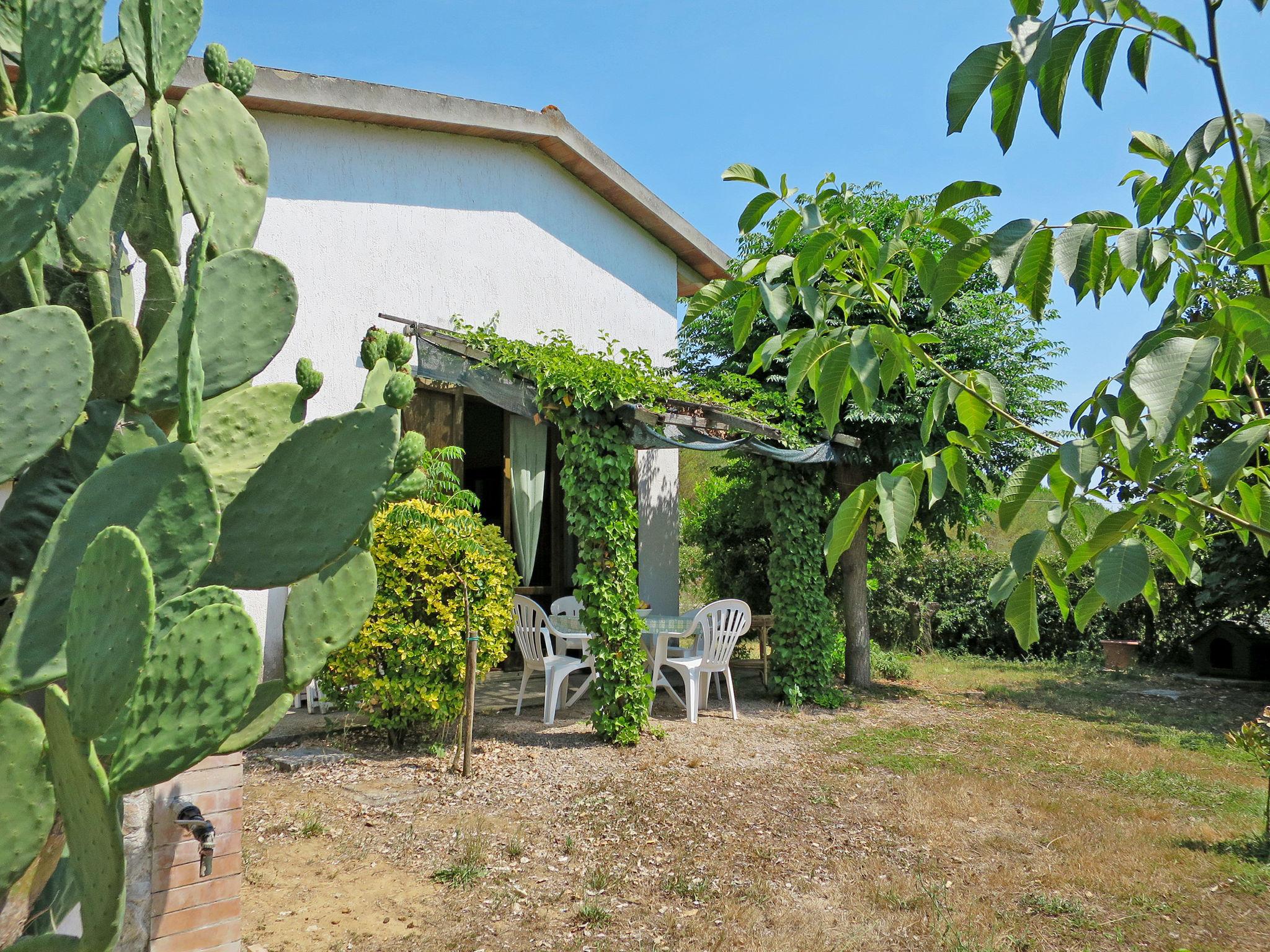 Foto 17 - Haus mit 1 Schlafzimmer in Grosseto mit garten