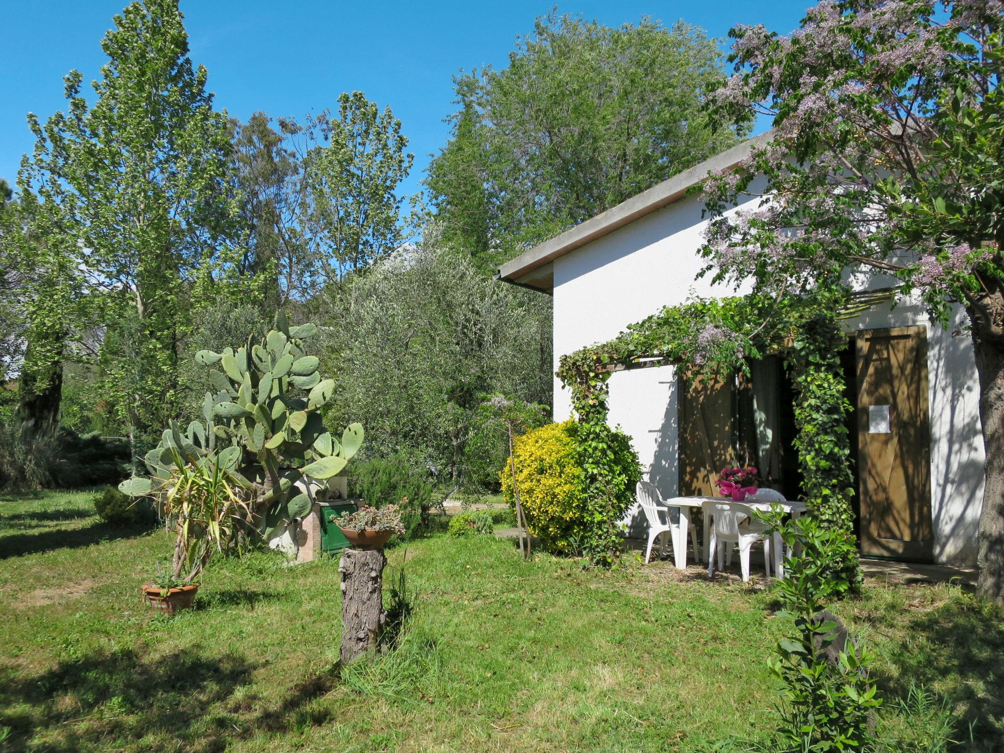 Foto 18 - Haus mit 1 Schlafzimmer in Grosseto mit garten