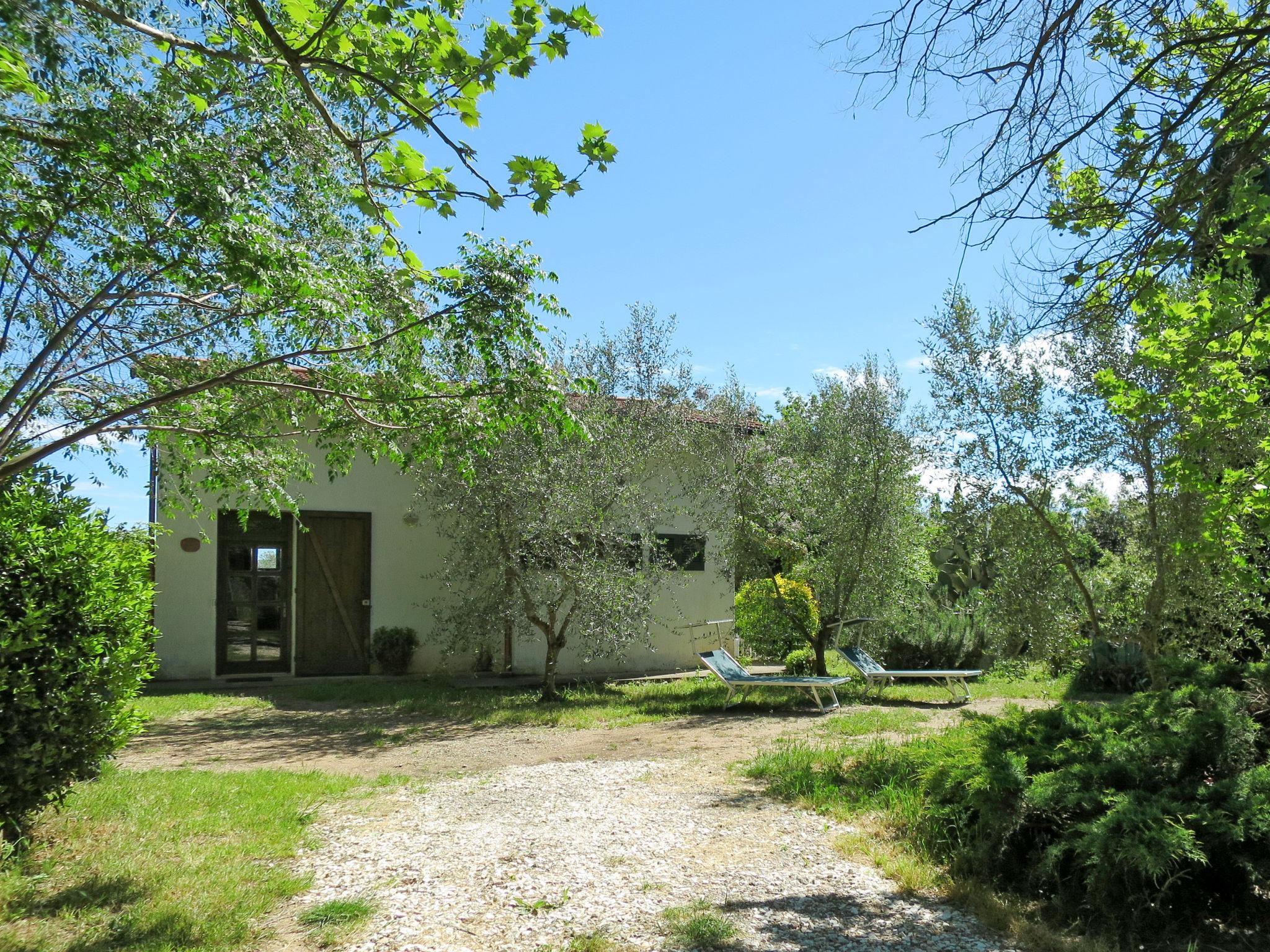 Foto 20 - Casa de 1 habitación en Grosseto con jardín