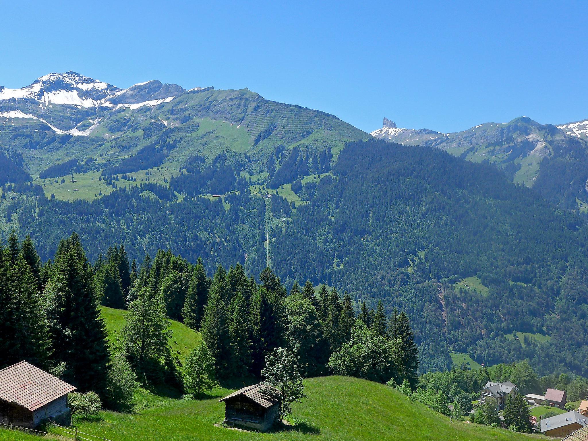 Foto 19 - Casa de 3 quartos em Lauterbrunnen com terraço e vista para a montanha