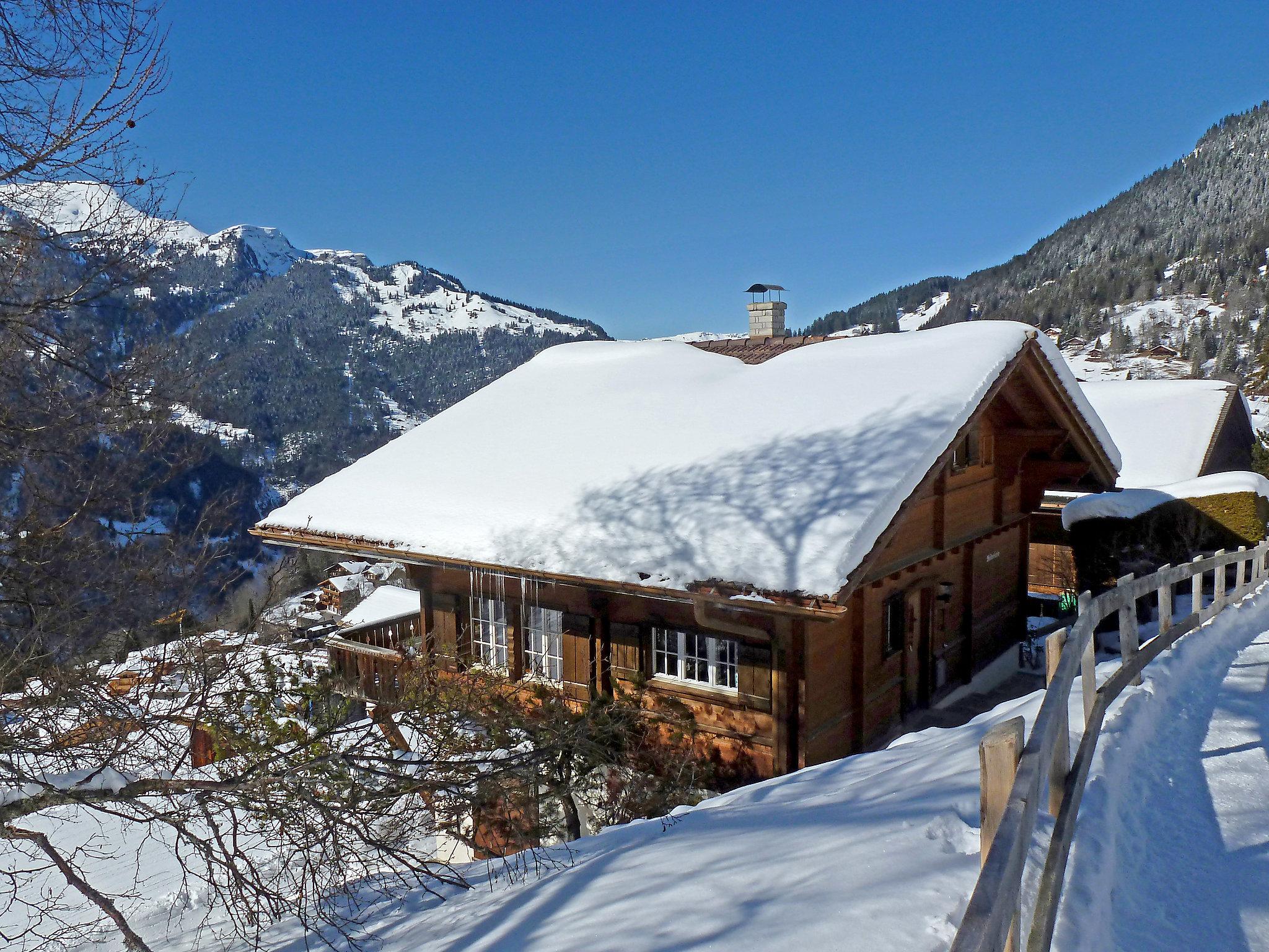 Photo 21 - Maison de 3 chambres à Lauterbrunnen avec jardin et terrasse