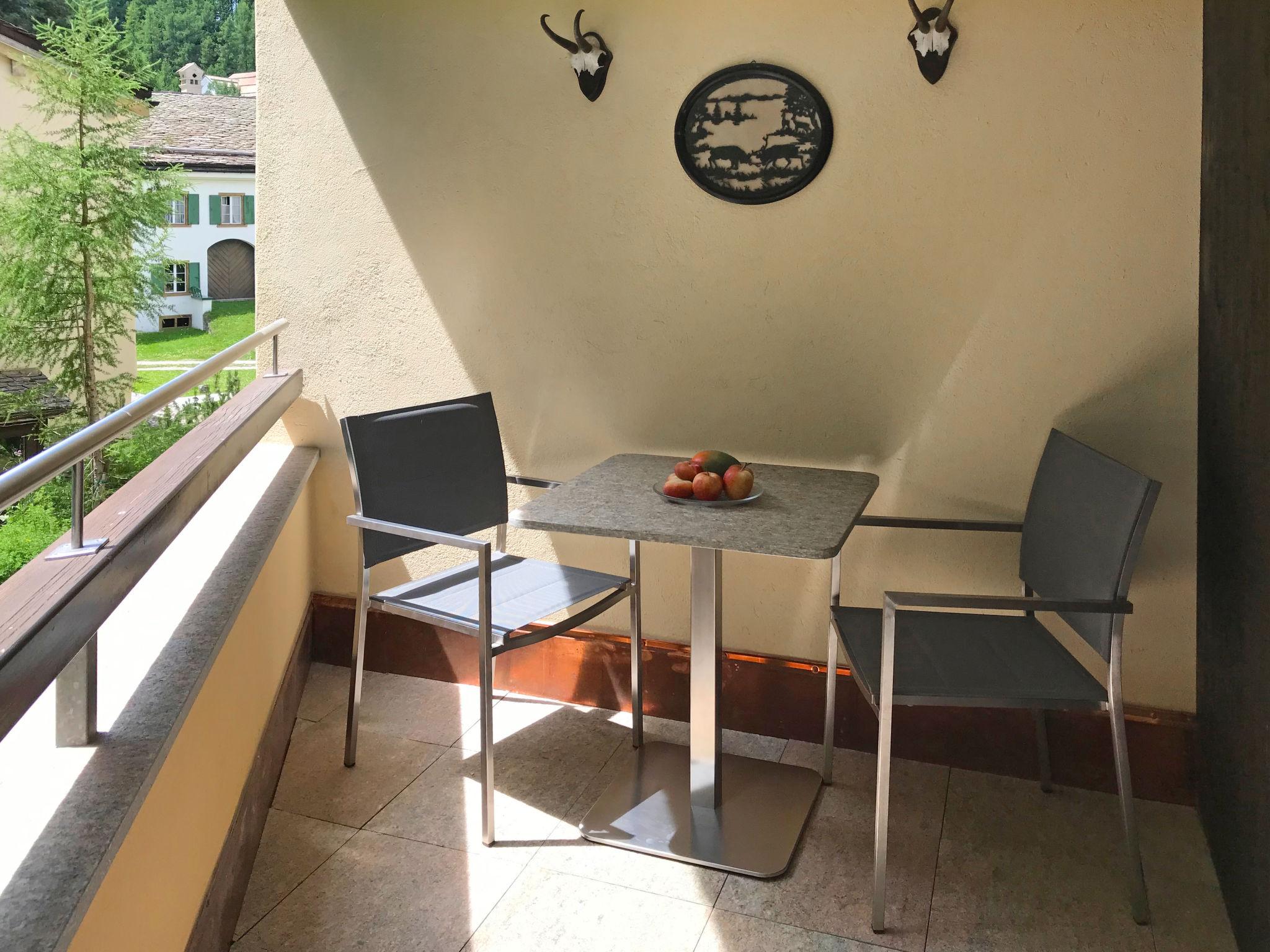 Foto 15 - Apartamento en Sils im Engadin/Segl con jardín